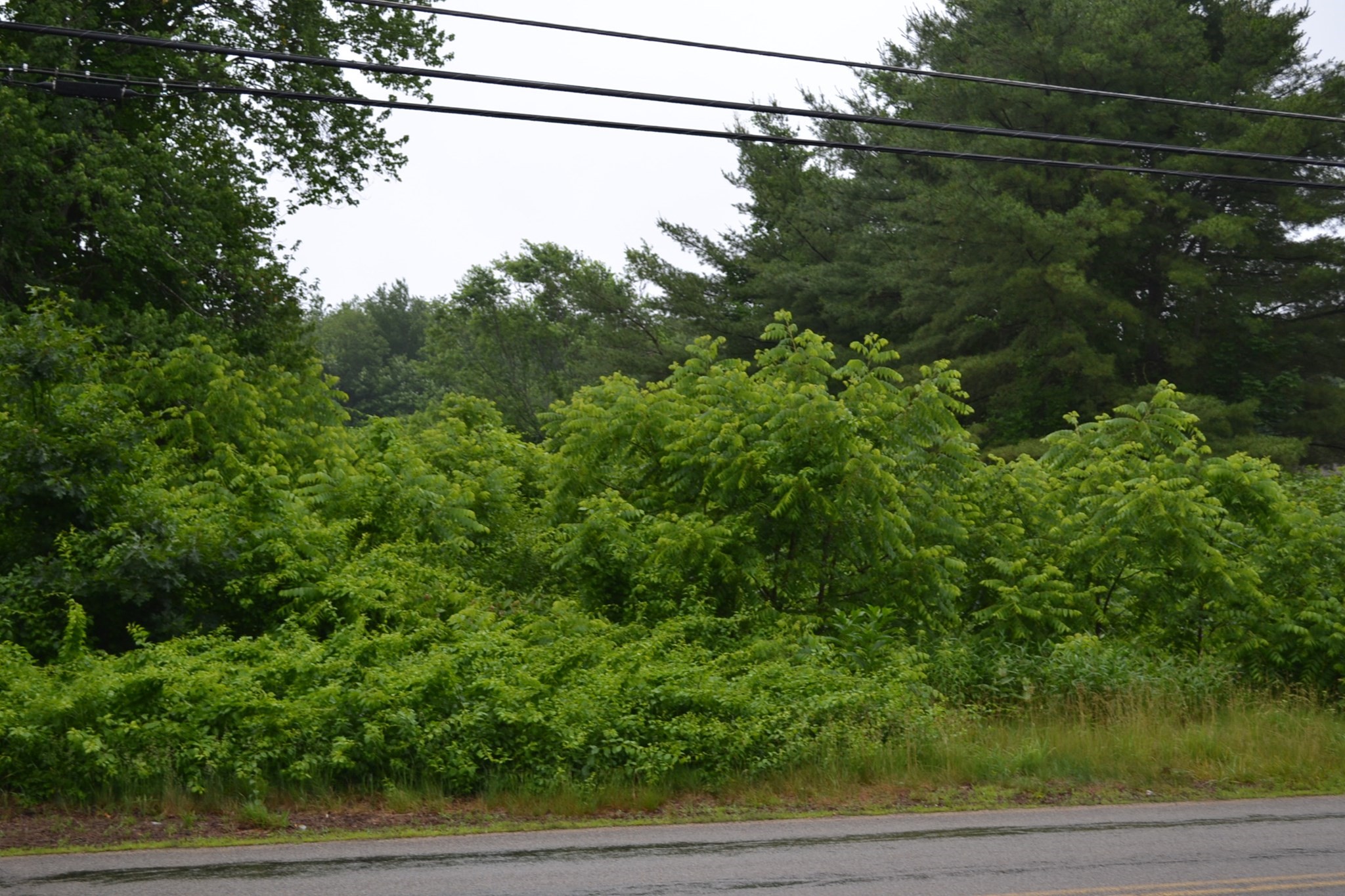 32 Quaboag St, Brookfield, MA 01506