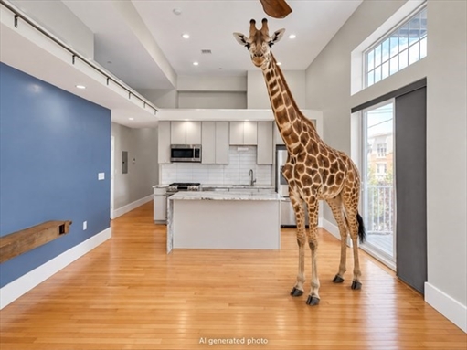 204 Spencer Ave, Apt 6