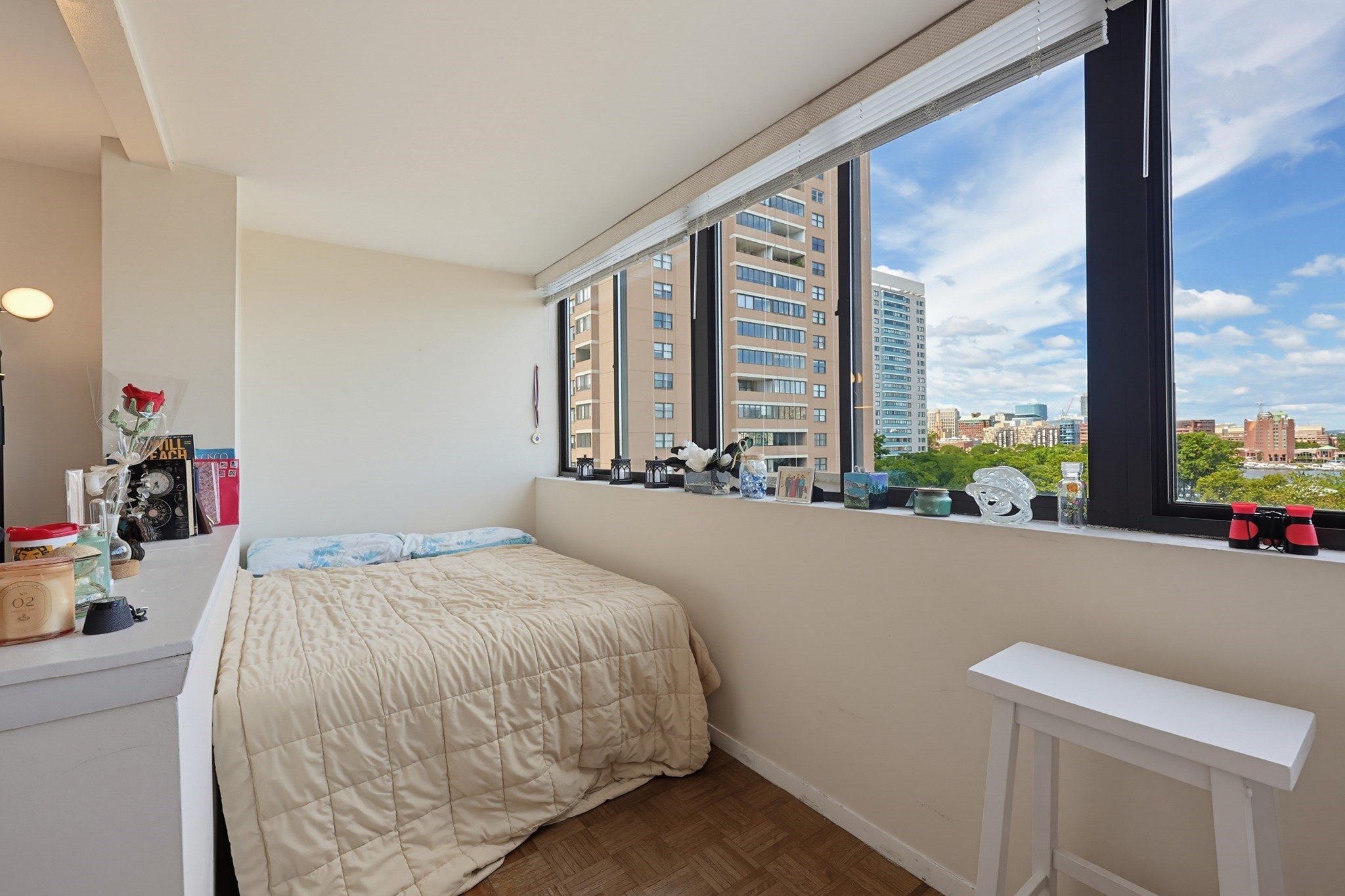 6 Whittier Pl Unit 7B, West End, Boston, MA 02114 - Image 7