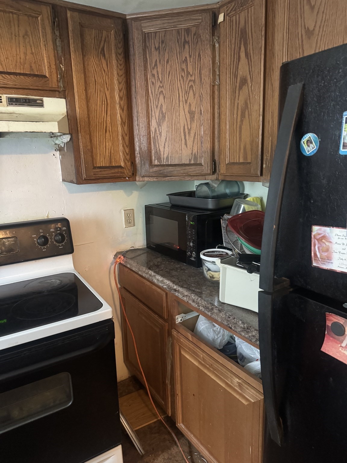 41 Westmore Rd Unit 2, Mattapan, Boston, MA 02126 - Image 11