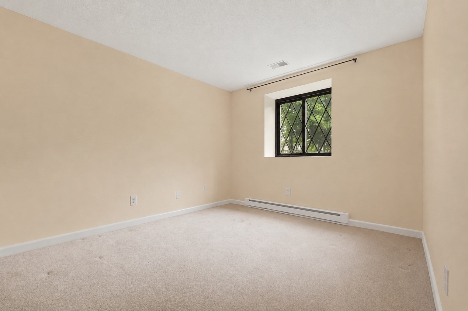 14 Royal Lake Drive Unit 1, Braintree, MA 02184 - Image 28