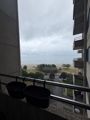 376 Ocean Ave, Apt 901