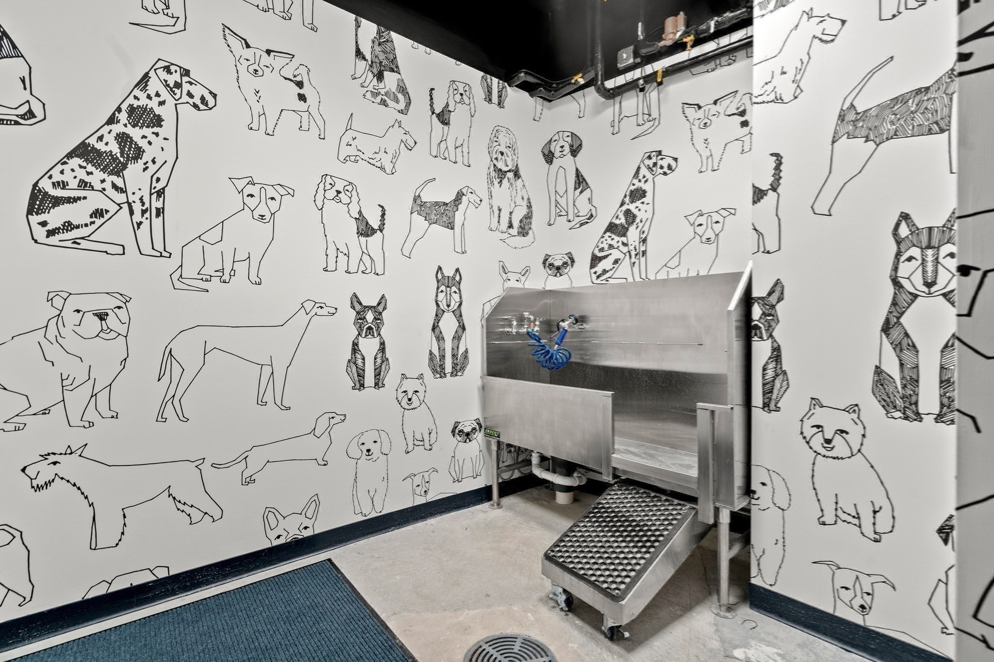 1515 Commonwealth Ave Unit 807, Brighton, Boston, MA 02135 - Image 42