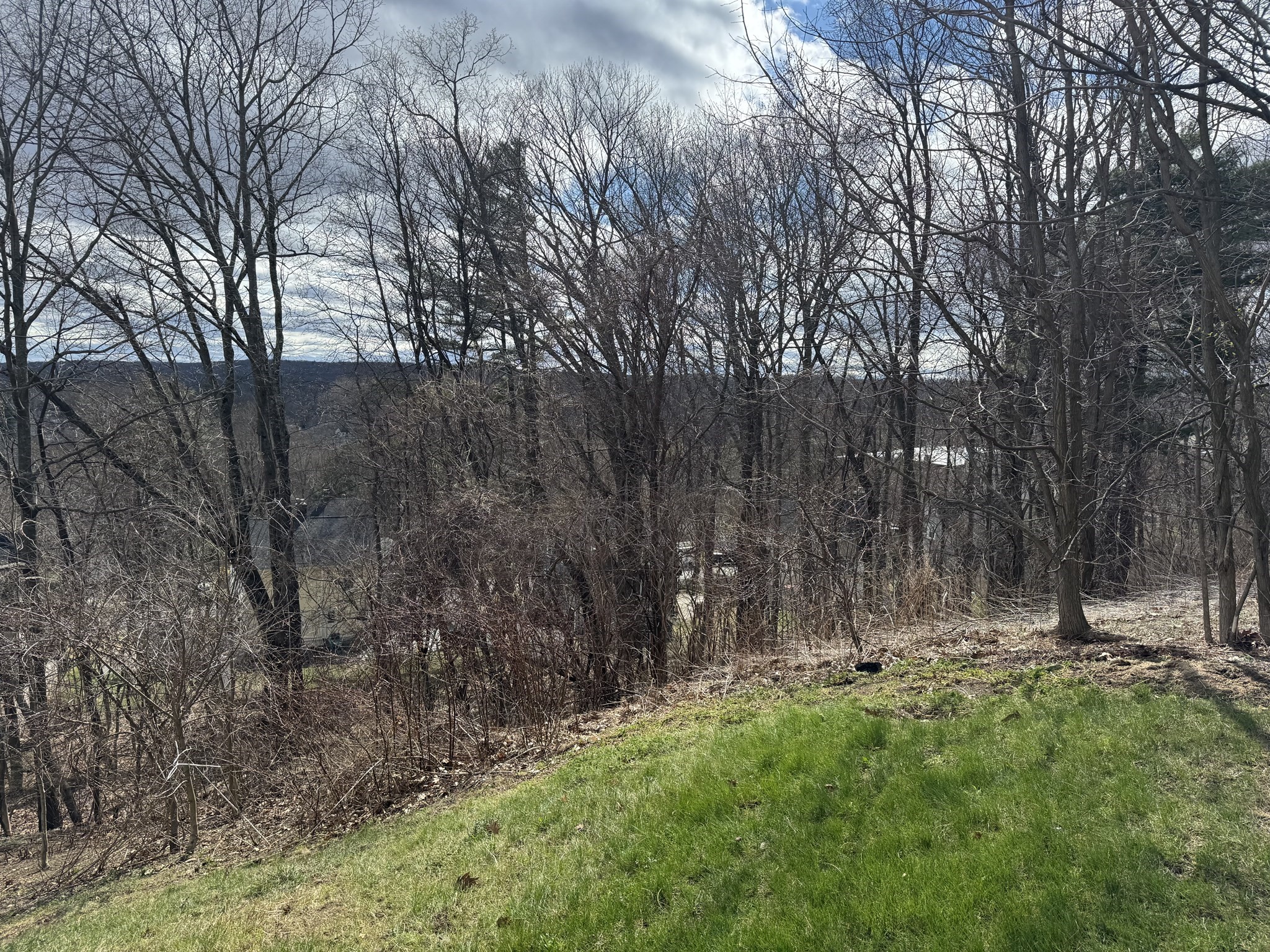 44 Rustic Drive, Worcester, MA 01609