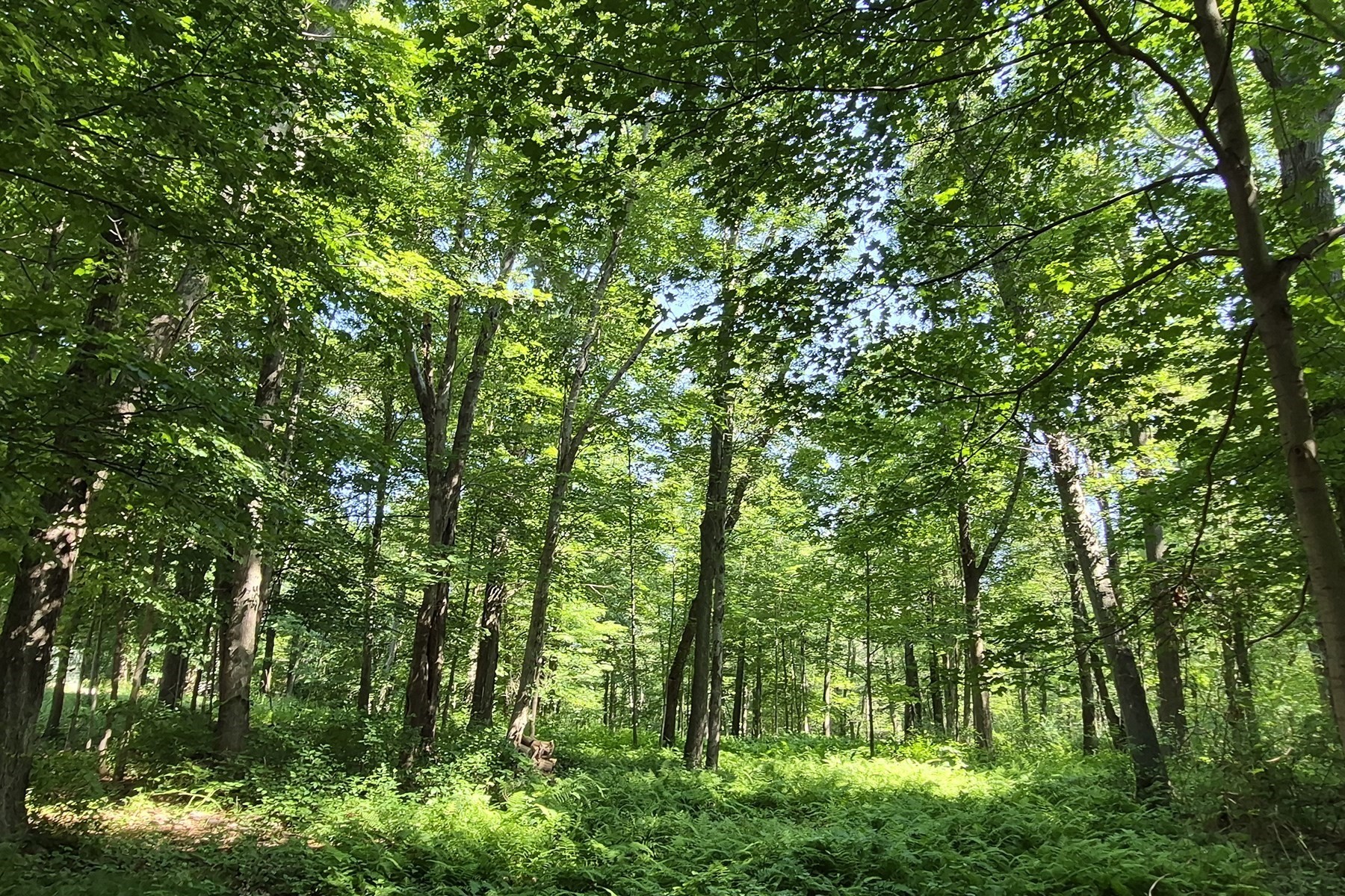 125 Topsfield Rd, Ipswich, MA 01938
