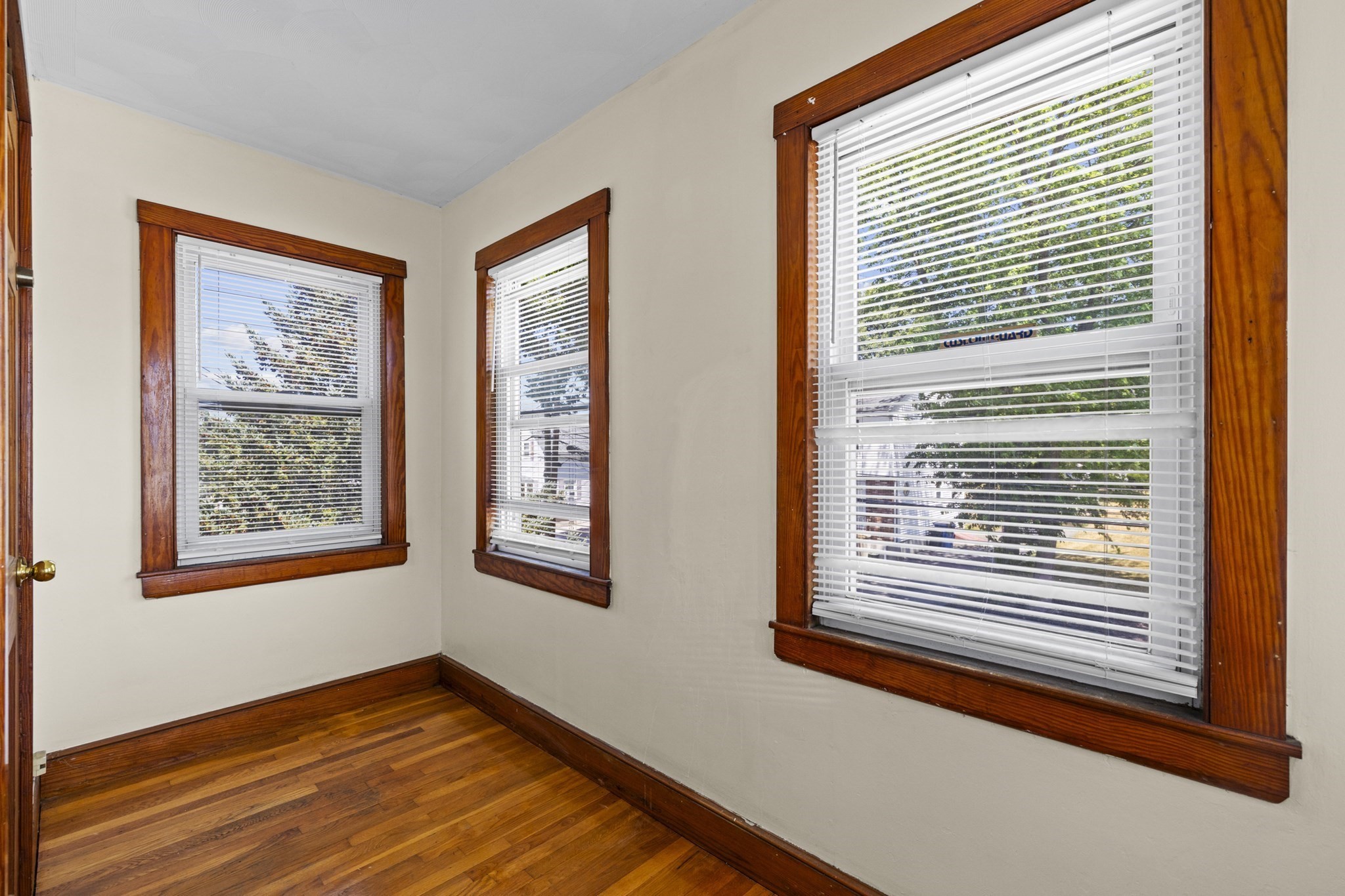 52 Chesterfield, Hyde Park, Boston, MA 02136 - Image 11