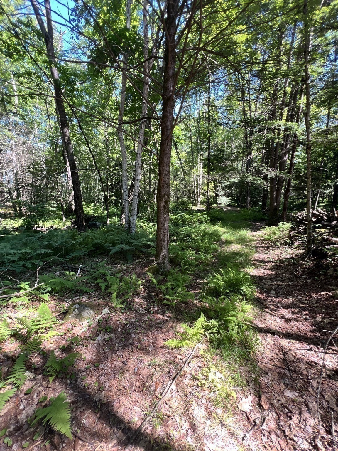 2 School St, Winchendon, MA 01475 - Image 11
