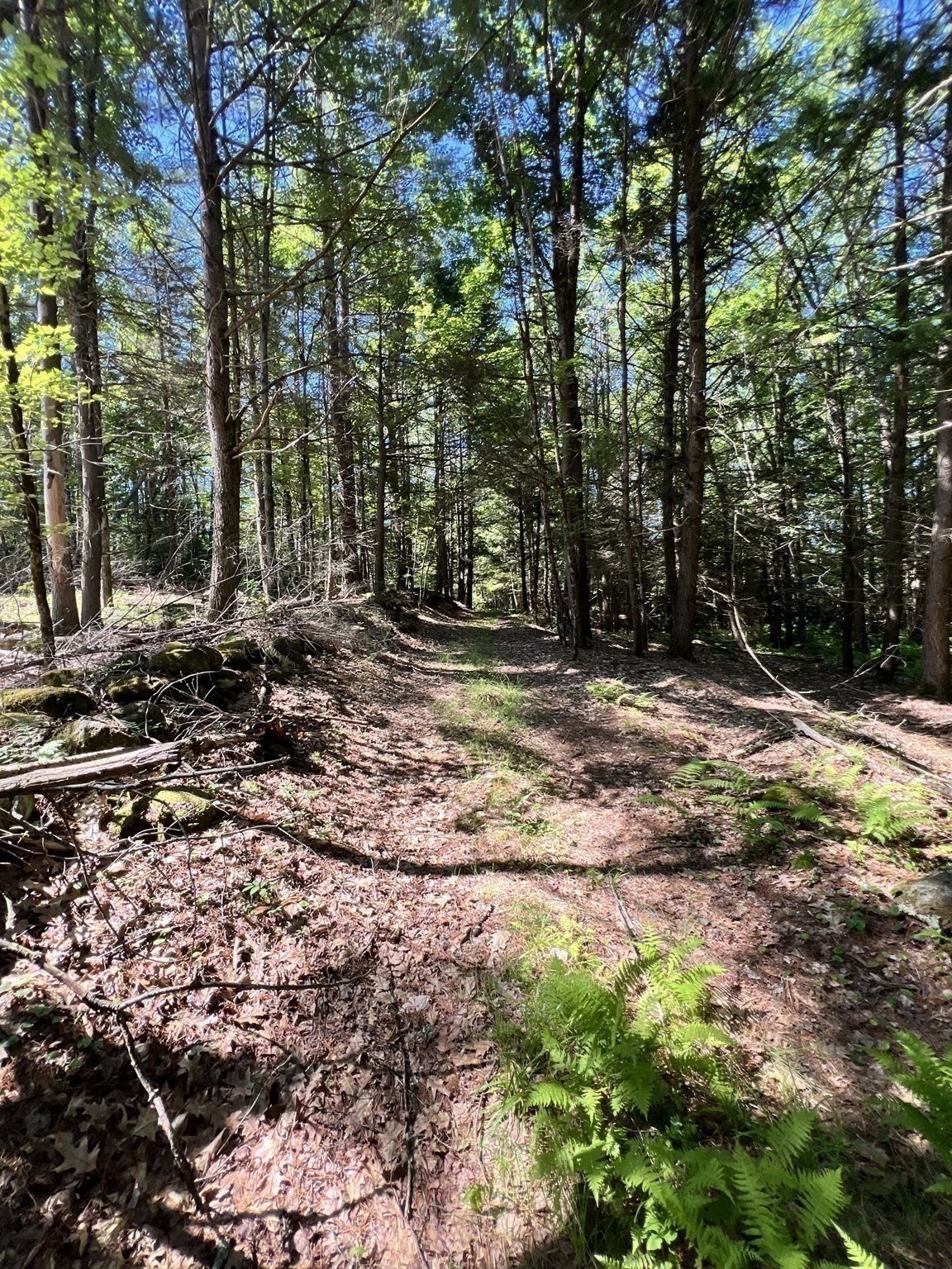 2 School St, Winchendon, MA 01475 - Image 3