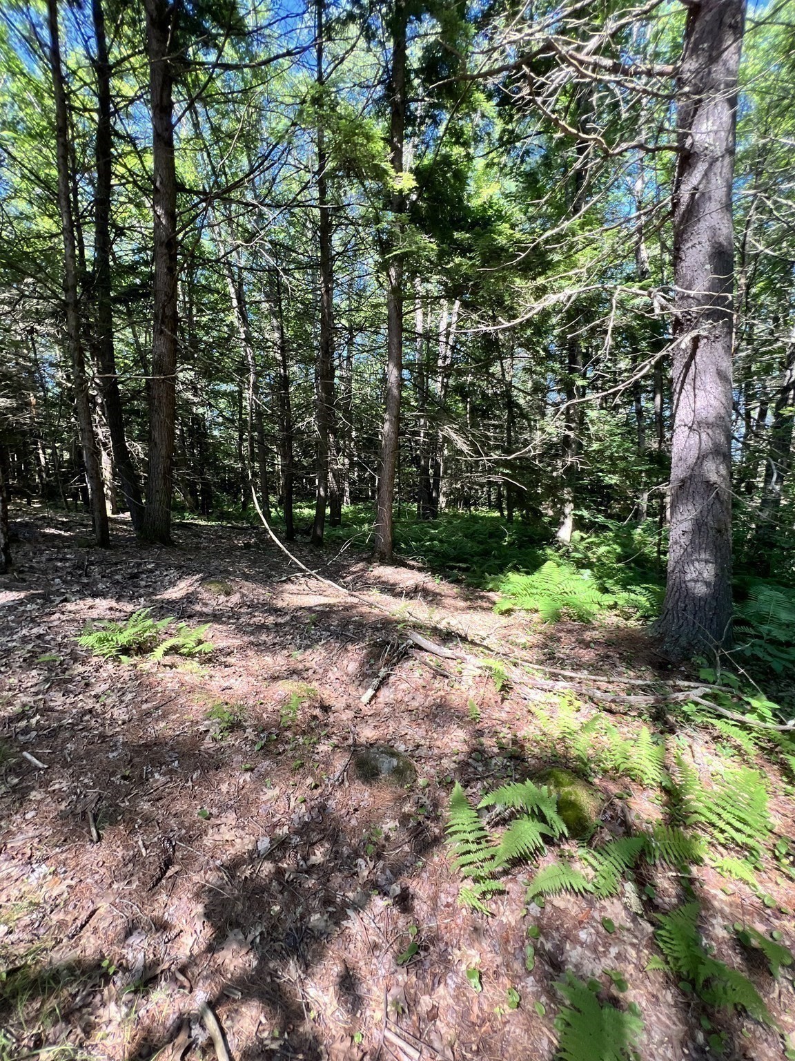 2 School St, Winchendon, MA 01475 - Image 9