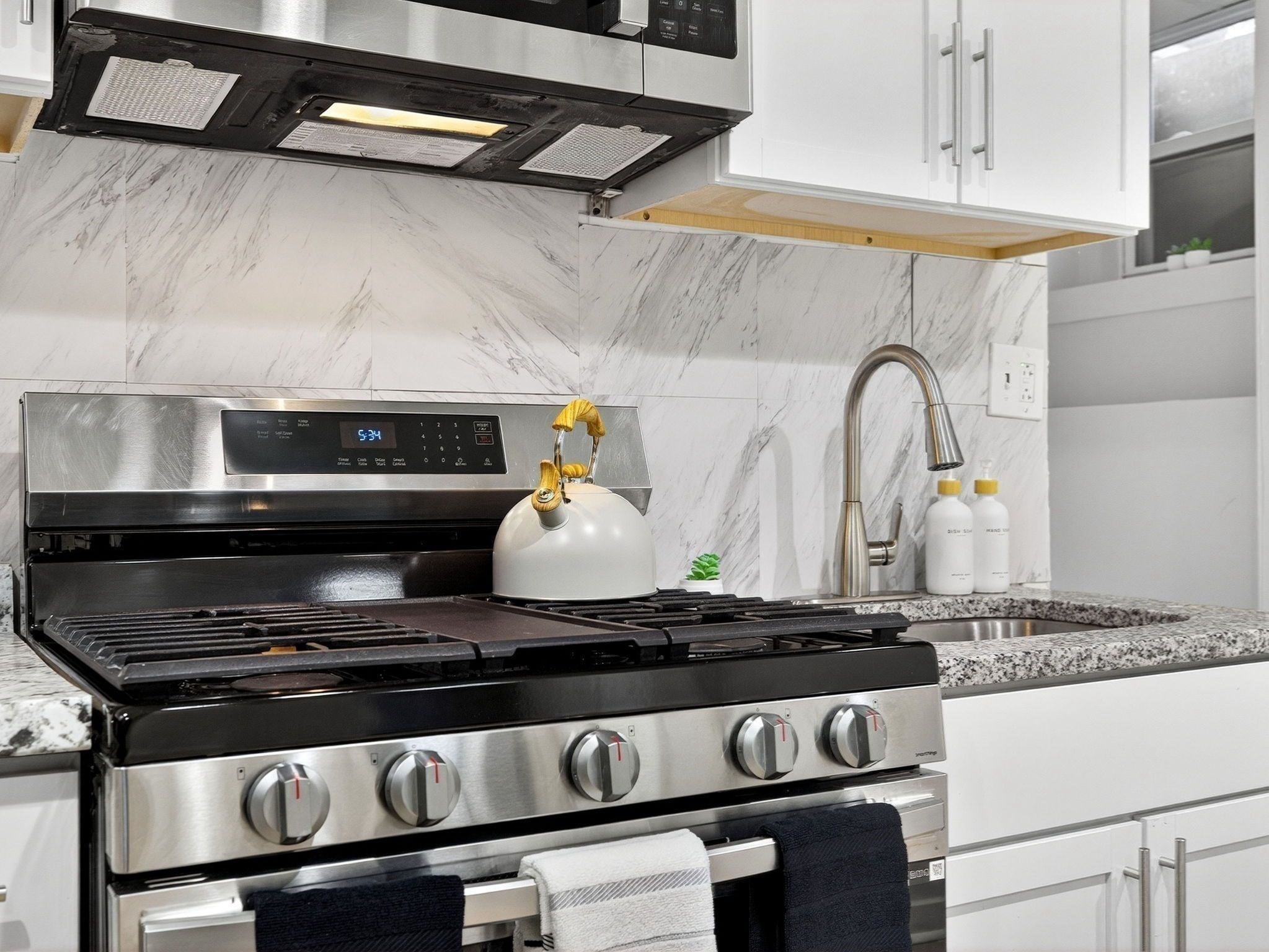38 Moreland St Unit 1, Roxbury, Boston, MA 02119 - Image 8