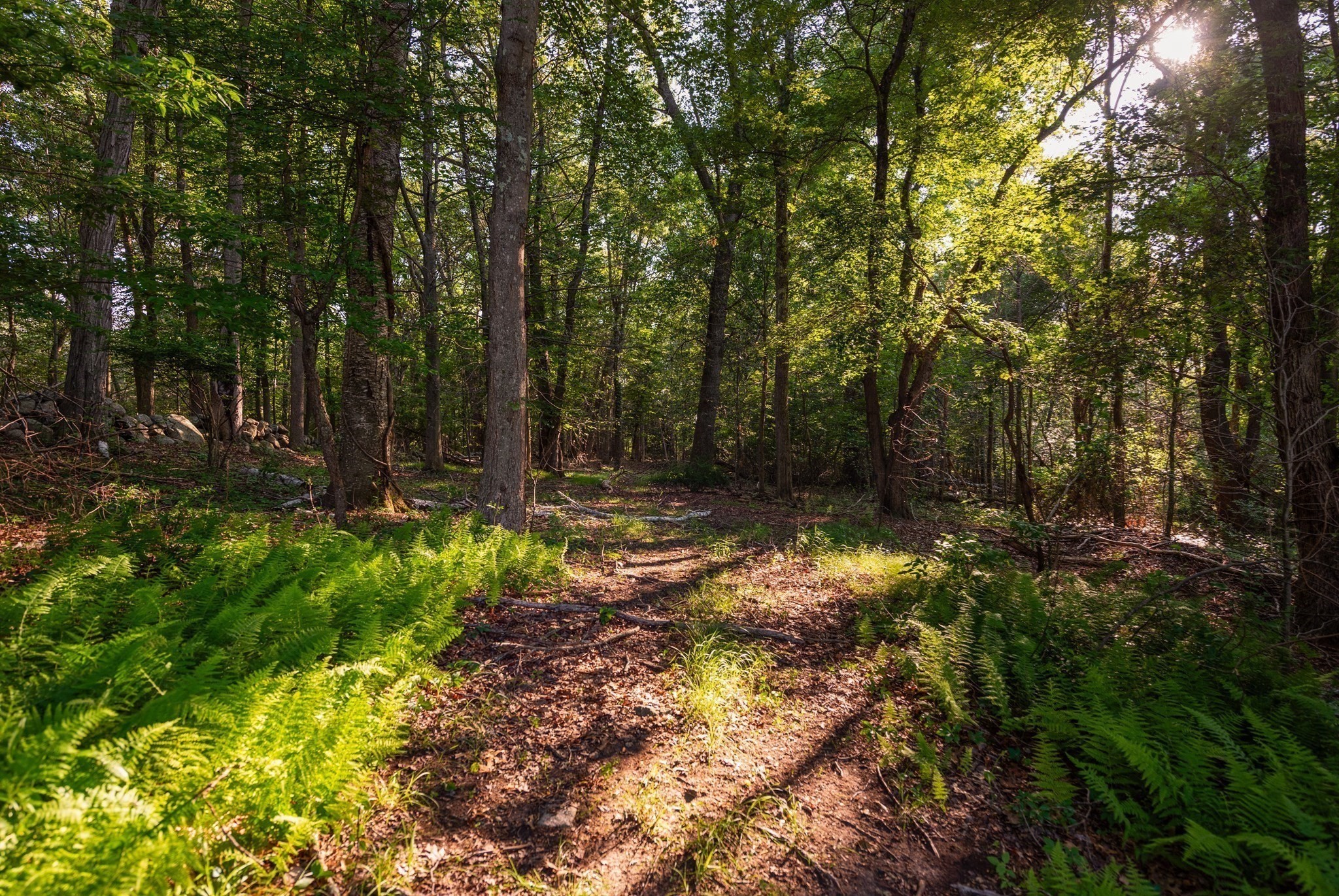 0 Belcher St, Essex, MA 01929 - Image 1