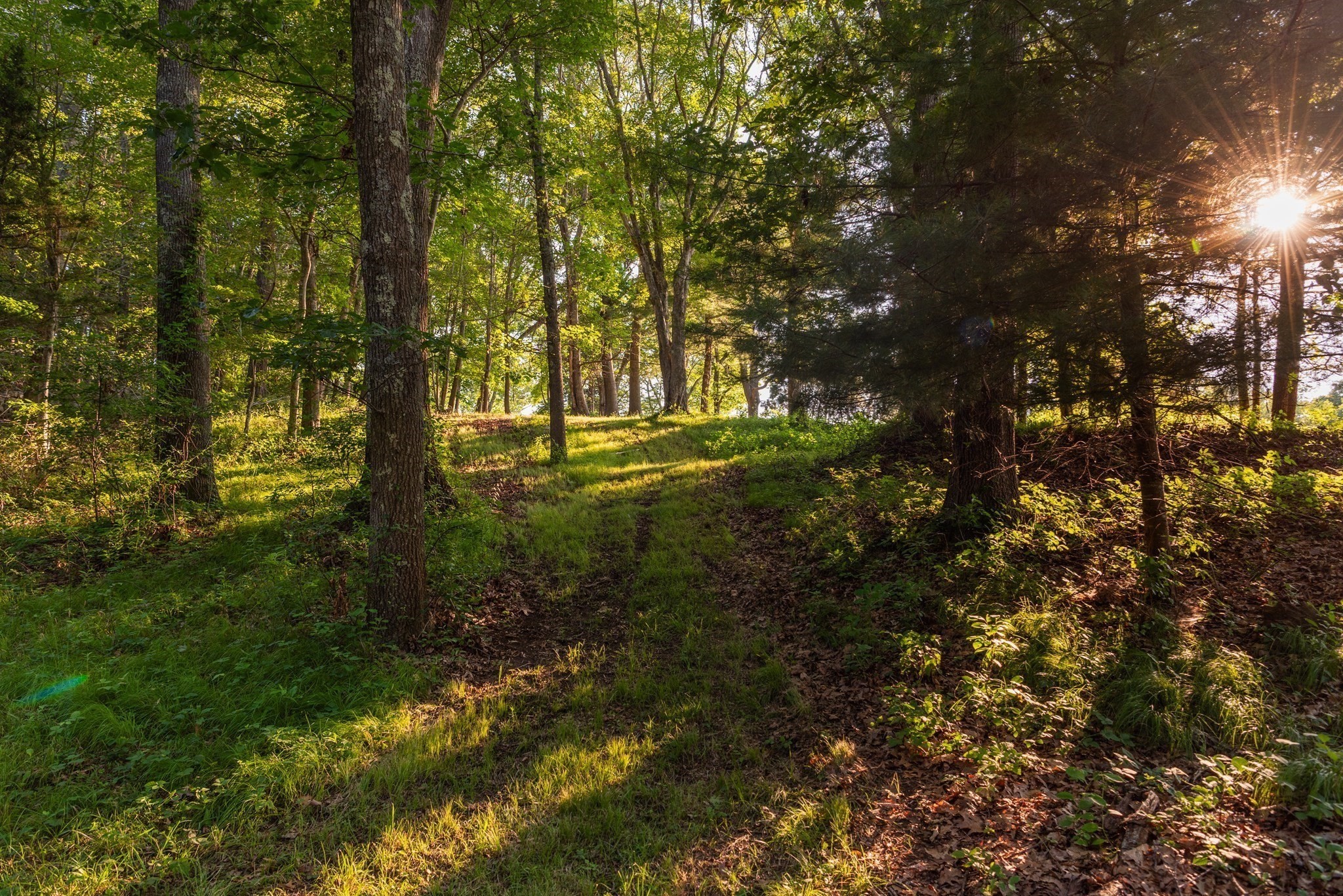 0 Belcher St, Essex, MA 01929 - Image 2