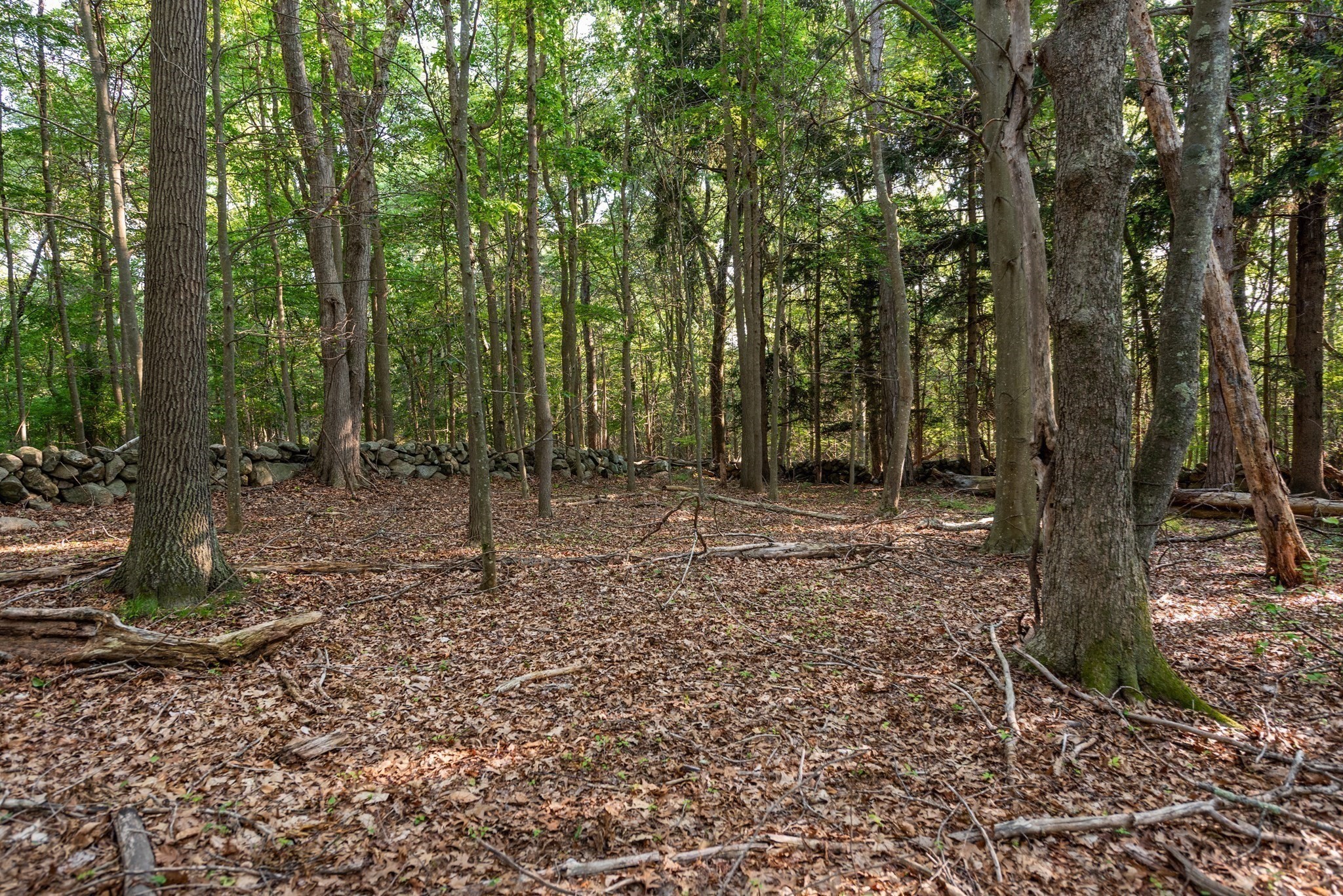 0 Belcher St, Essex, MA 01929 - Image 11