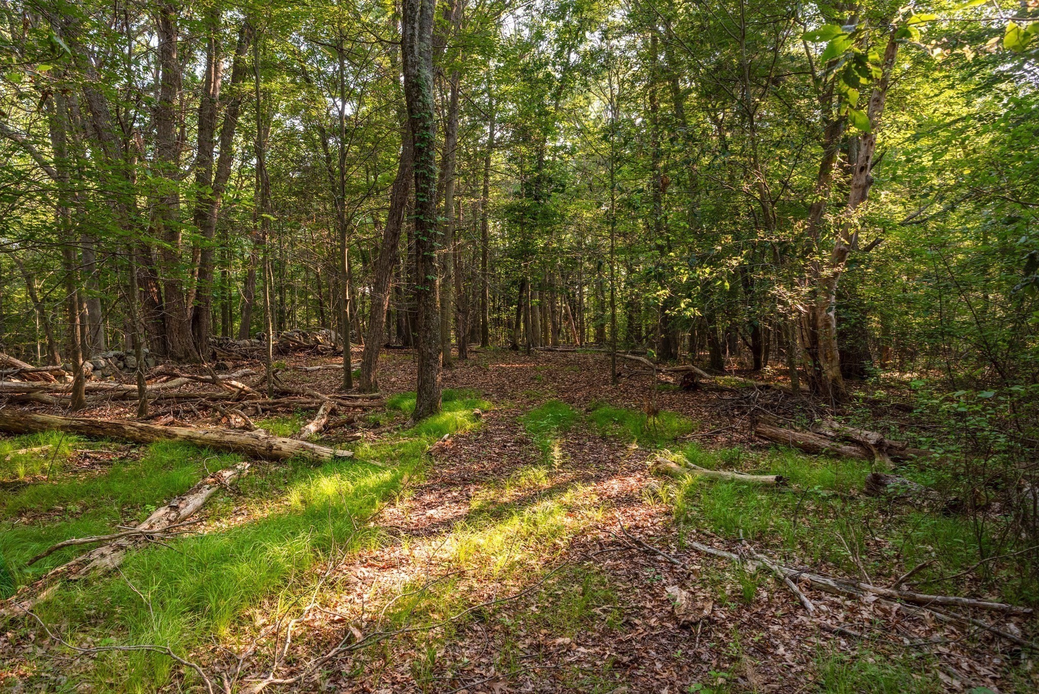 0 Belcher St, Essex, MA 01929 - Image 8