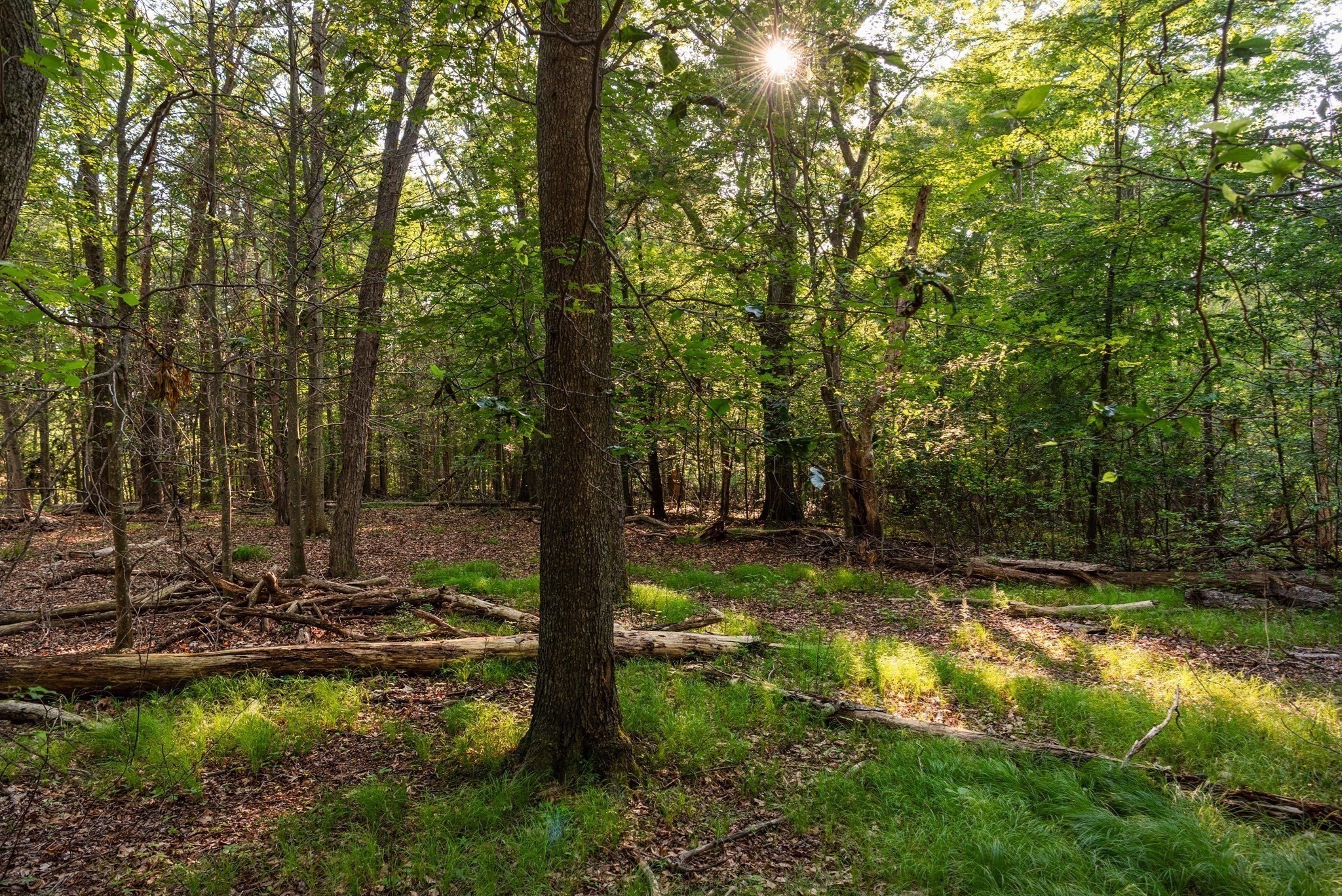 0 Belcher St, Essex, MA 01929 - Image 9