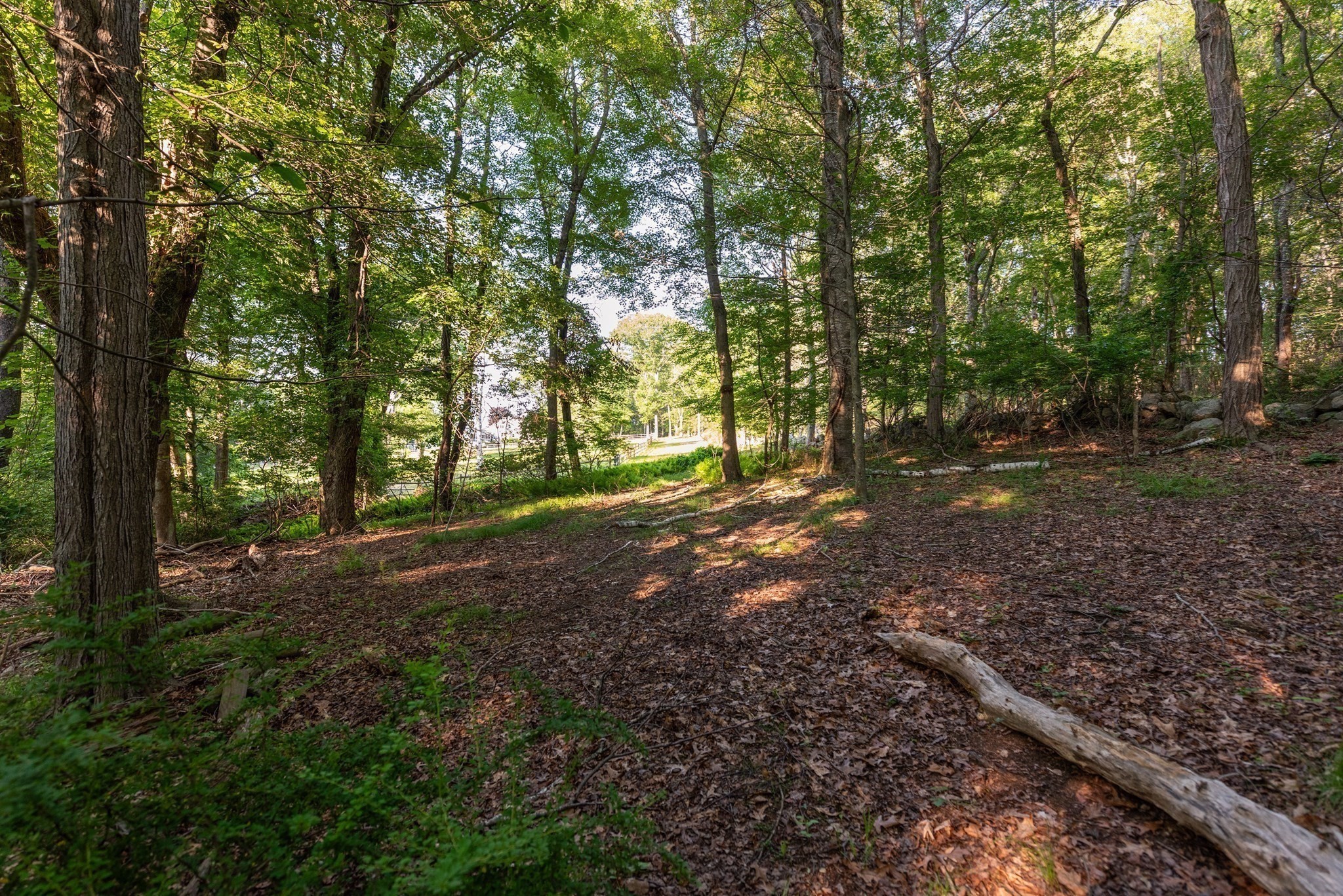 0 Belcher St, Essex, MA 01929 - Image 10
