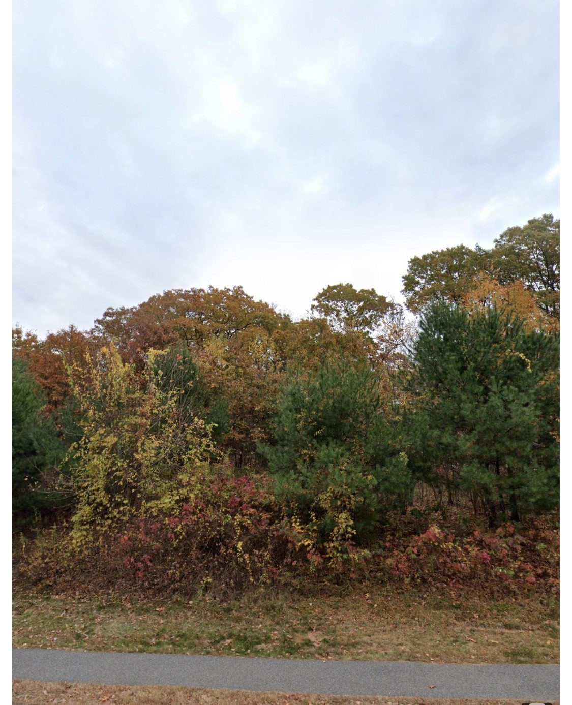 119 Independent Ln, Ashland, MA 01721 - Image 1