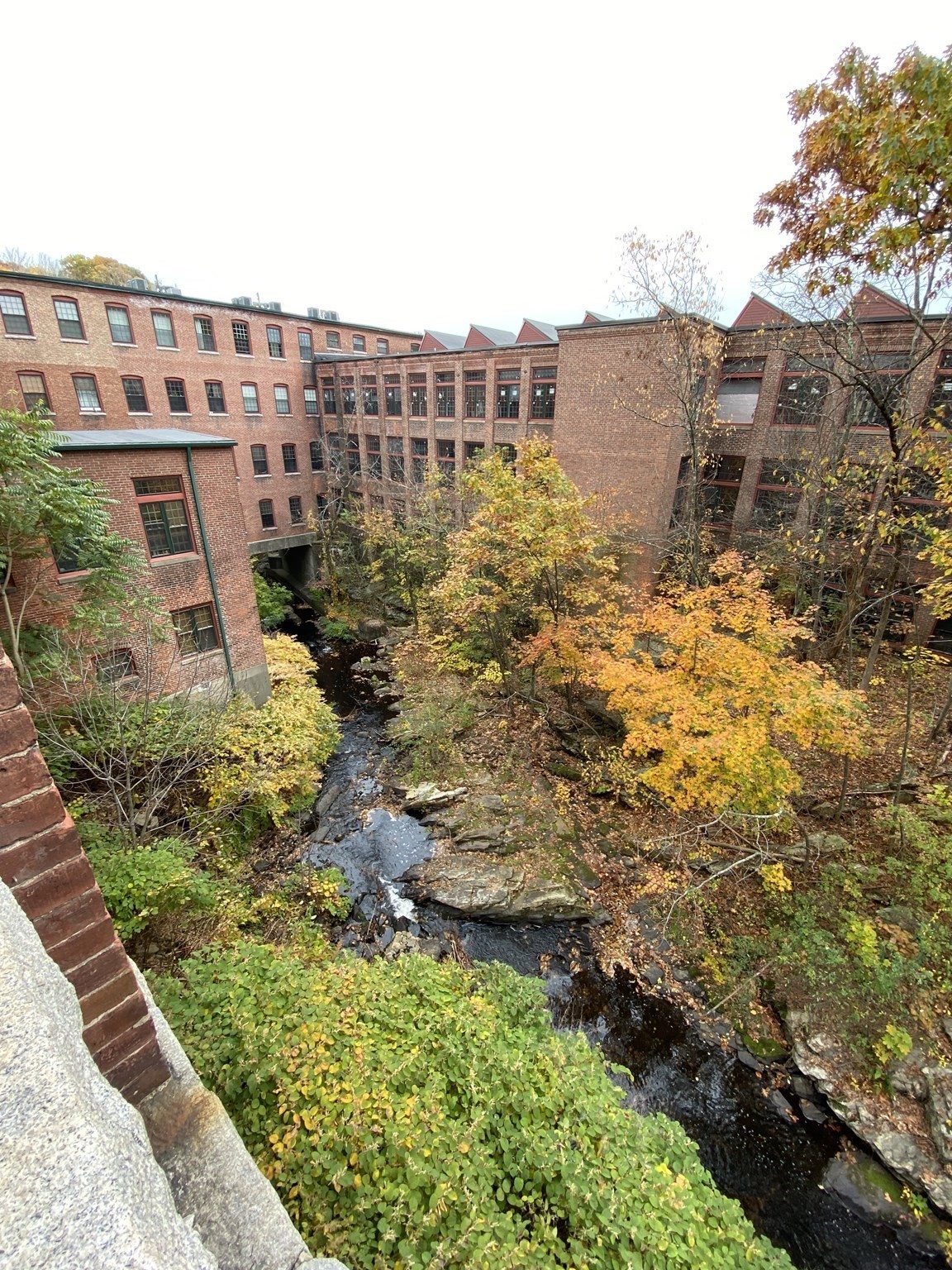 1511 Main St Unit C305, Worcester, MA 01608 - Image 4