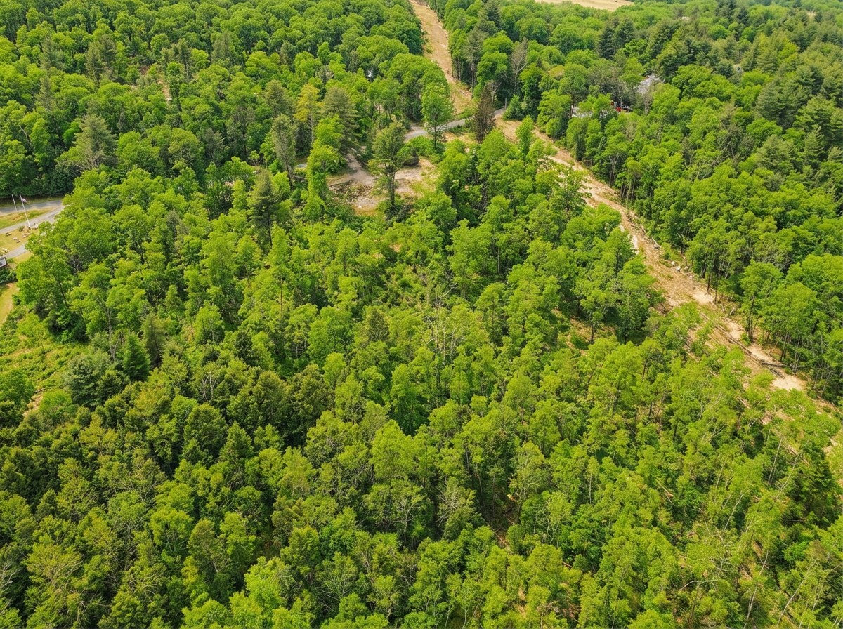 179 Chapin Rd, Hampden, MA 01036 - Image 16