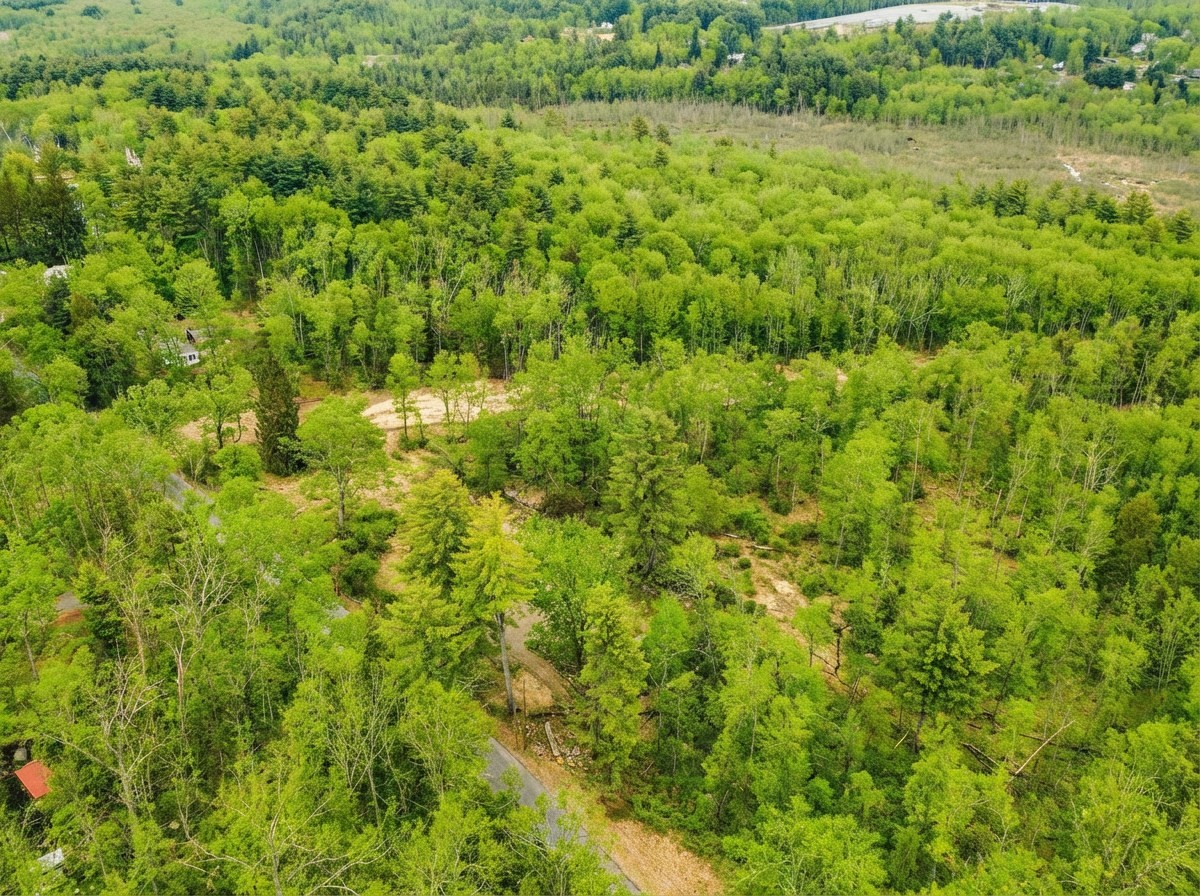 179 Chapin Rd, Hampden, MA 01036 - Image 6