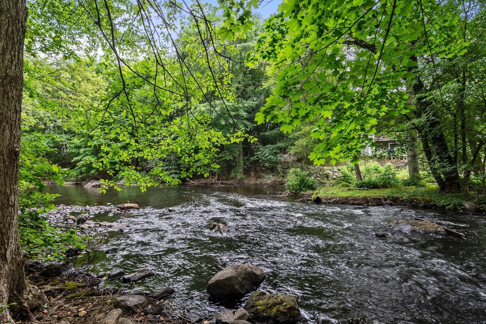 24 N Stone Mill Dr Unit 1112, Dedham, MA 02026 - Image 18