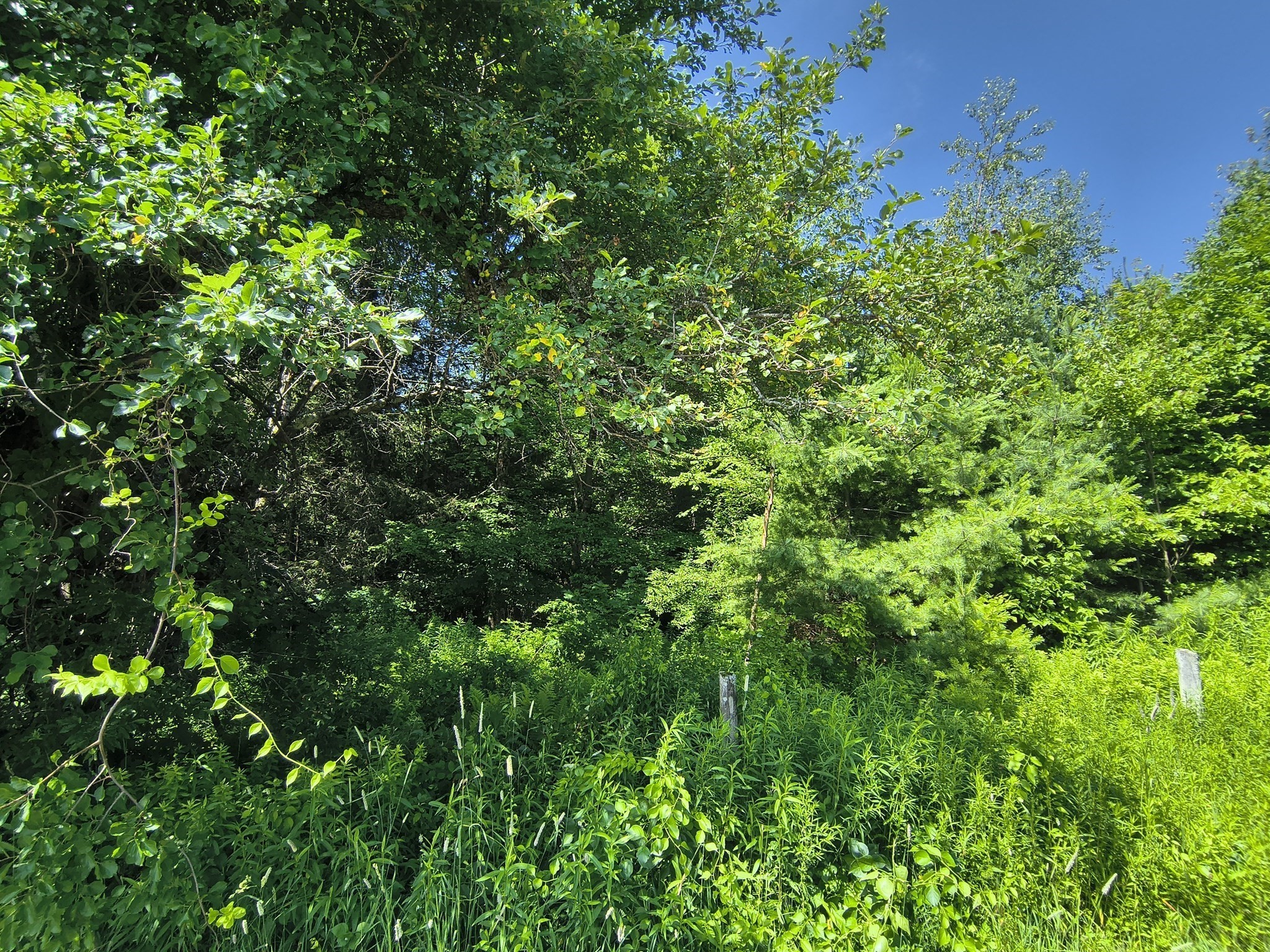  Ridge Road, Worthington, MA 01098 - Image 8