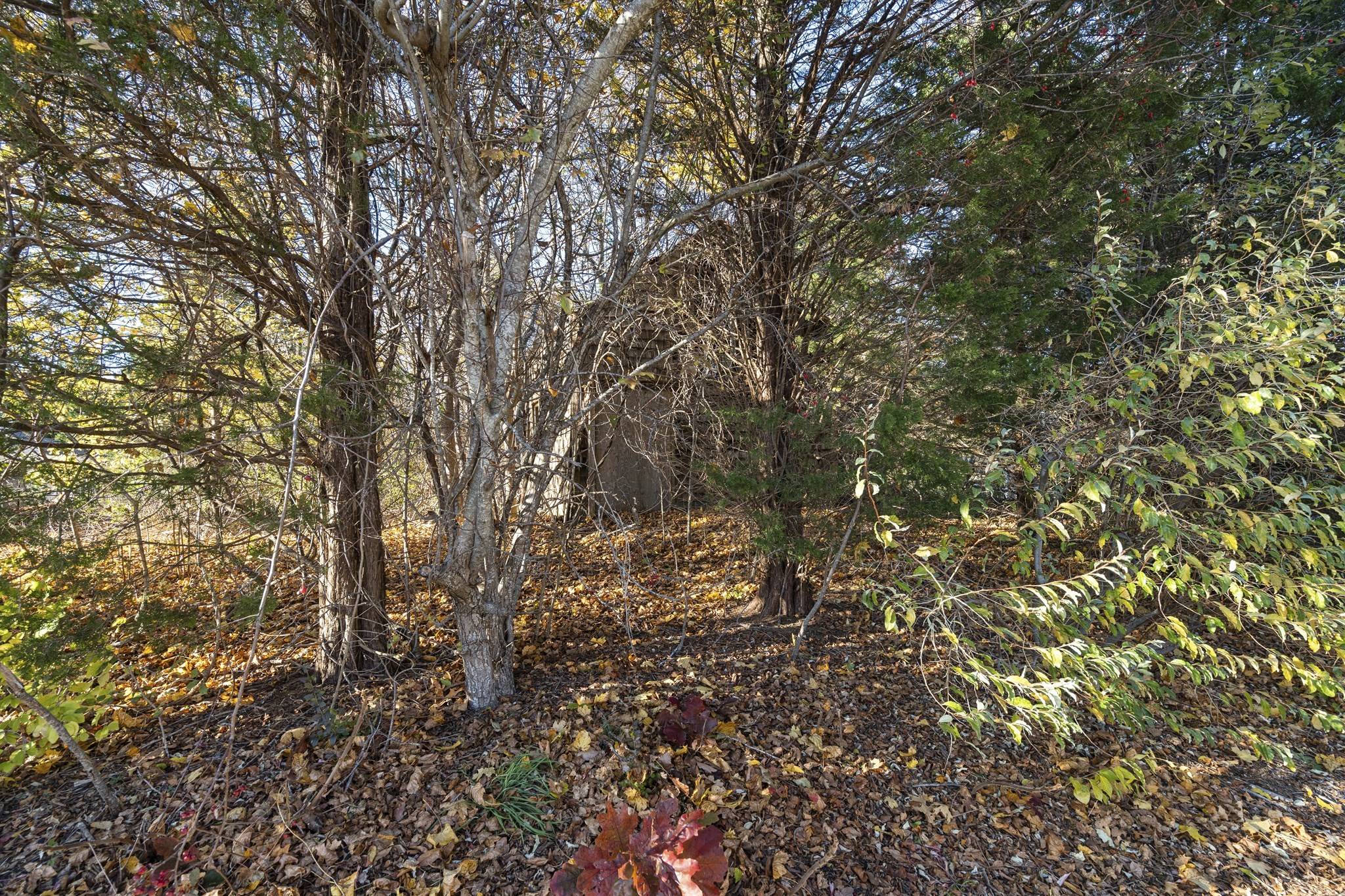 20 Brewster Avenue, Kingston, MA 02364 - Image 6