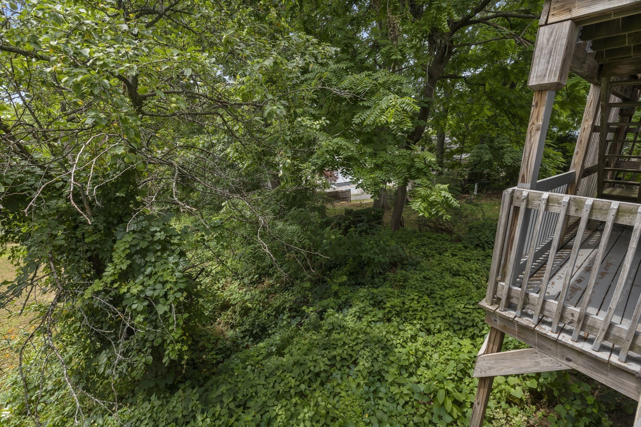 57 Hemman Street Unit 1, Roslindale, Boston, MA 02131 - Image 15