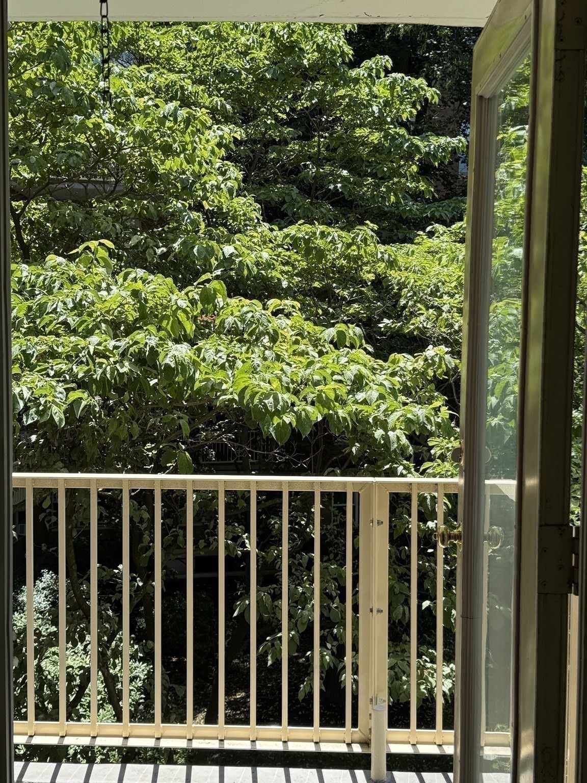 145 Pinckney Unit 335, Beacon Hill, Boston, MA 02114 - Image 12