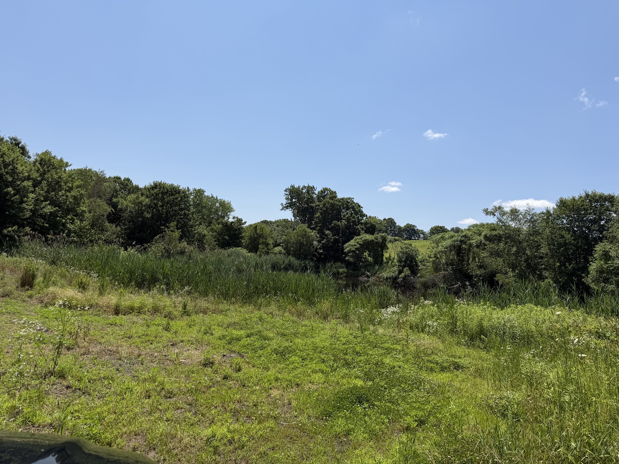 0 Wine Rd, New Braintree, MA 01531