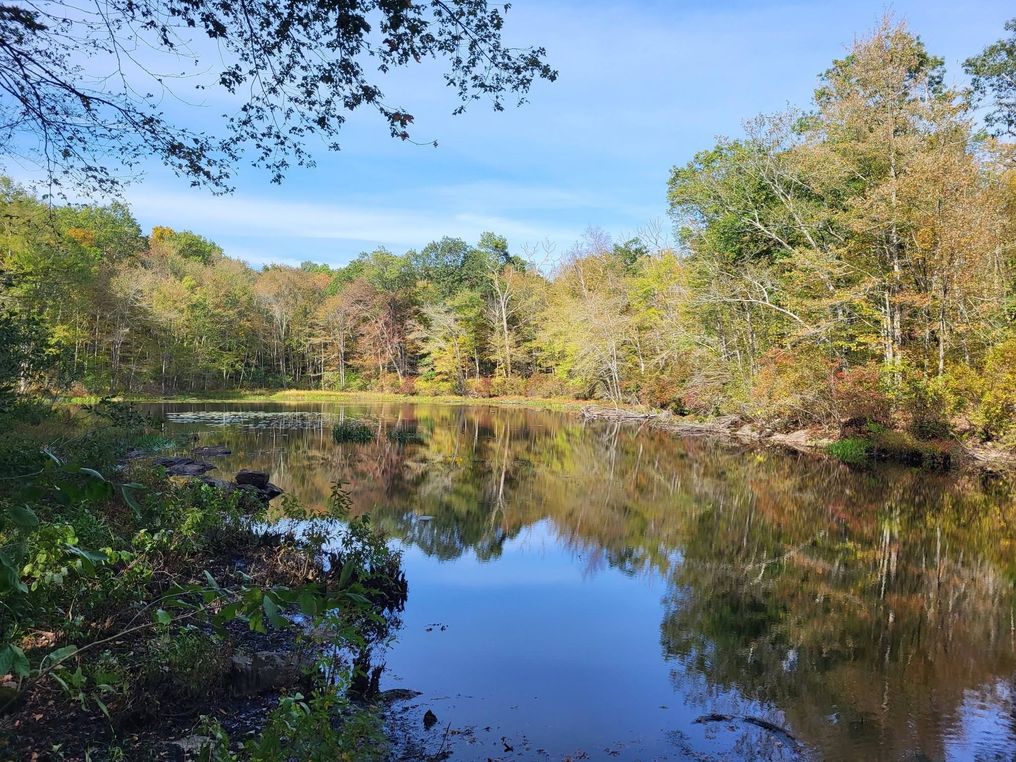 305 Tripp Hollow Rd, Brooklyn, CT 06234 - Image 1