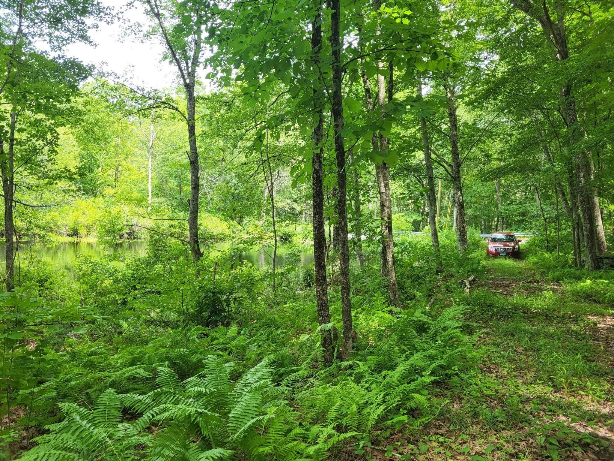 305 Tripp Hollow Rd, Brooklyn, CT 06234 - Image 2