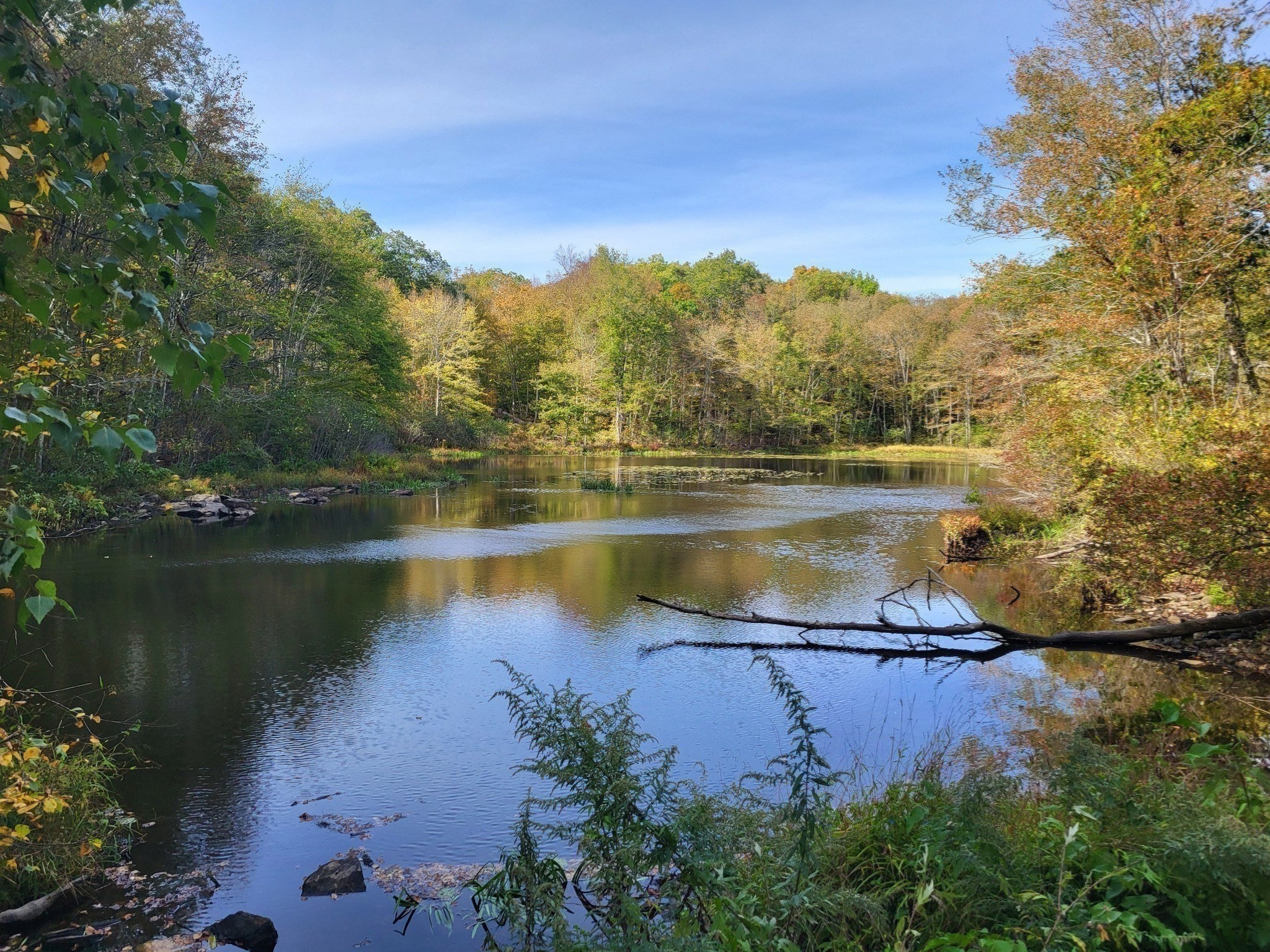 305 Tripp Hollow Rd, Brooklyn, CT 06234 - Image 11