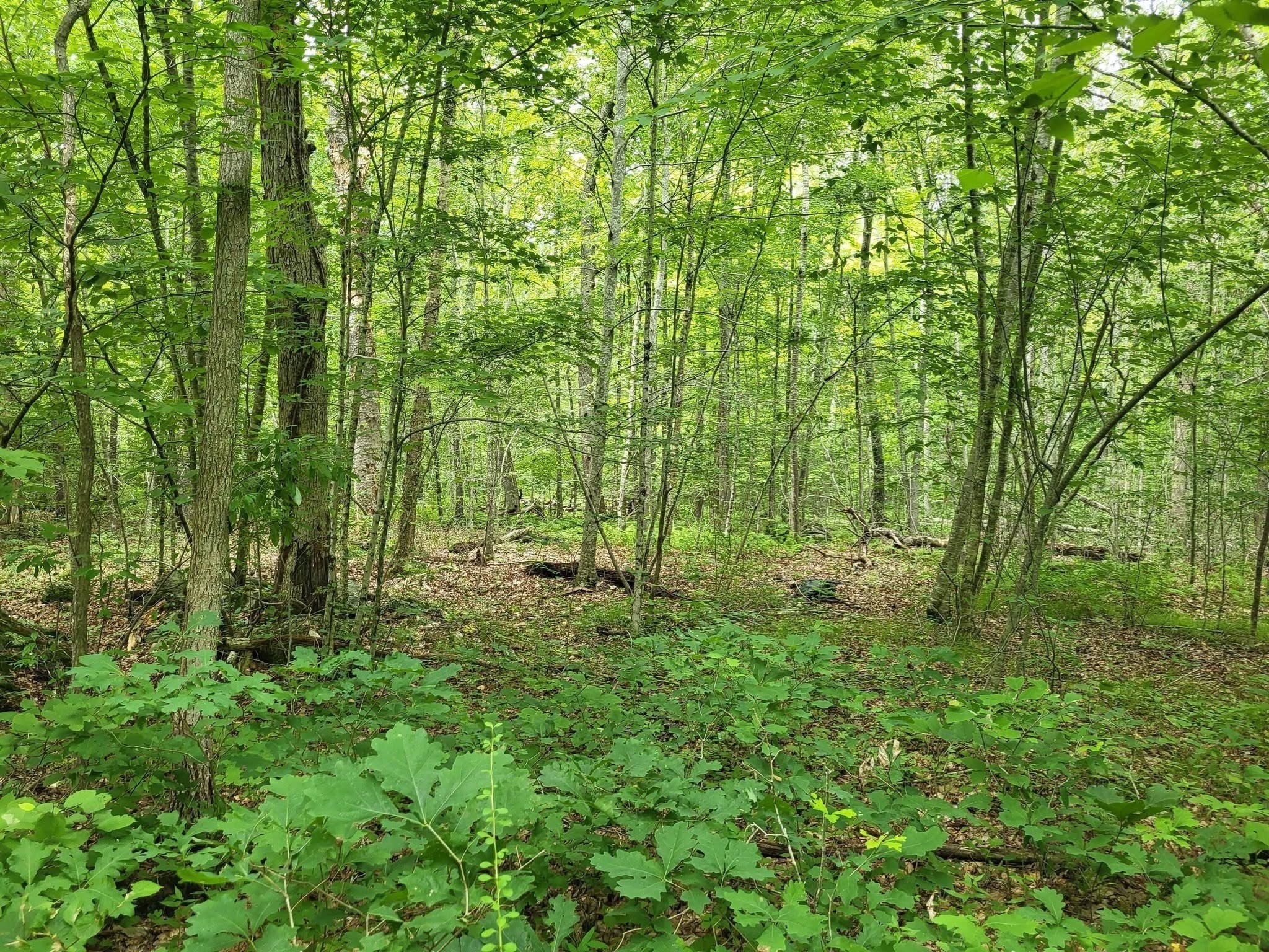305 Tripp Hollow Rd, Brooklyn, CT 06234 - Image 17