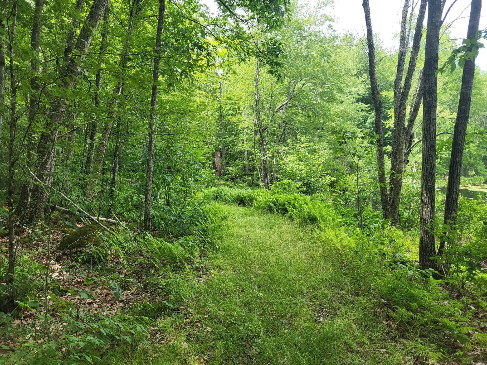 305 Tripp Hollow Rd, Brooklyn, CT 06234 - Image 3