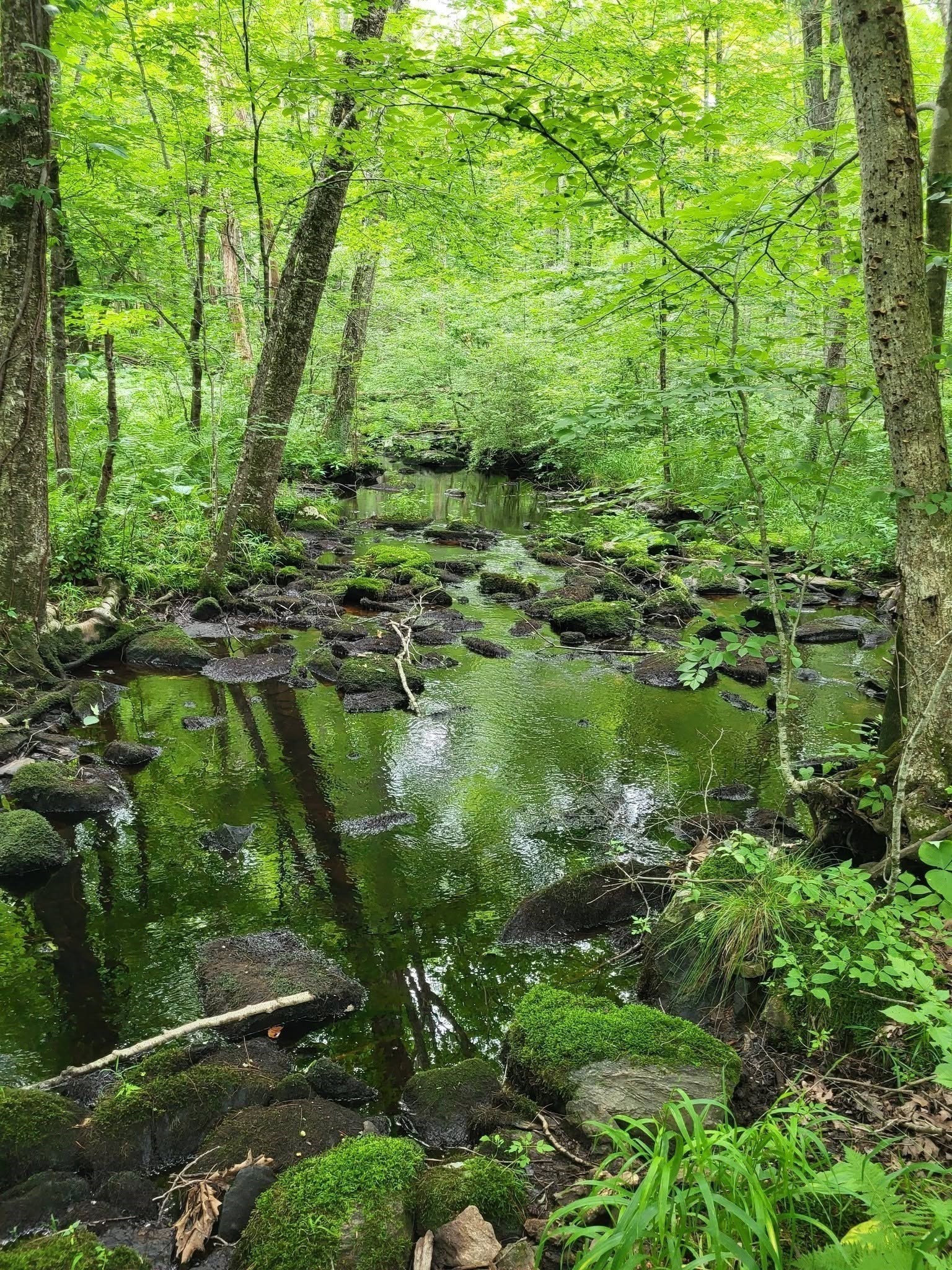 305 Tripp Hollow Rd, Brooklyn, CT 06234 - Image 22