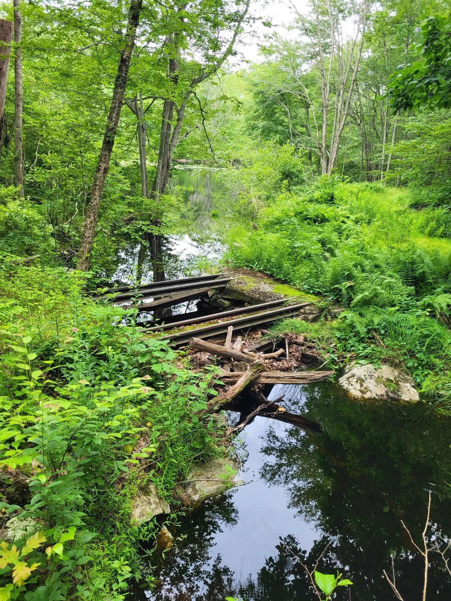 305 Tripp Hollow Rd, Brooklyn, CT 06234 - Image 23
