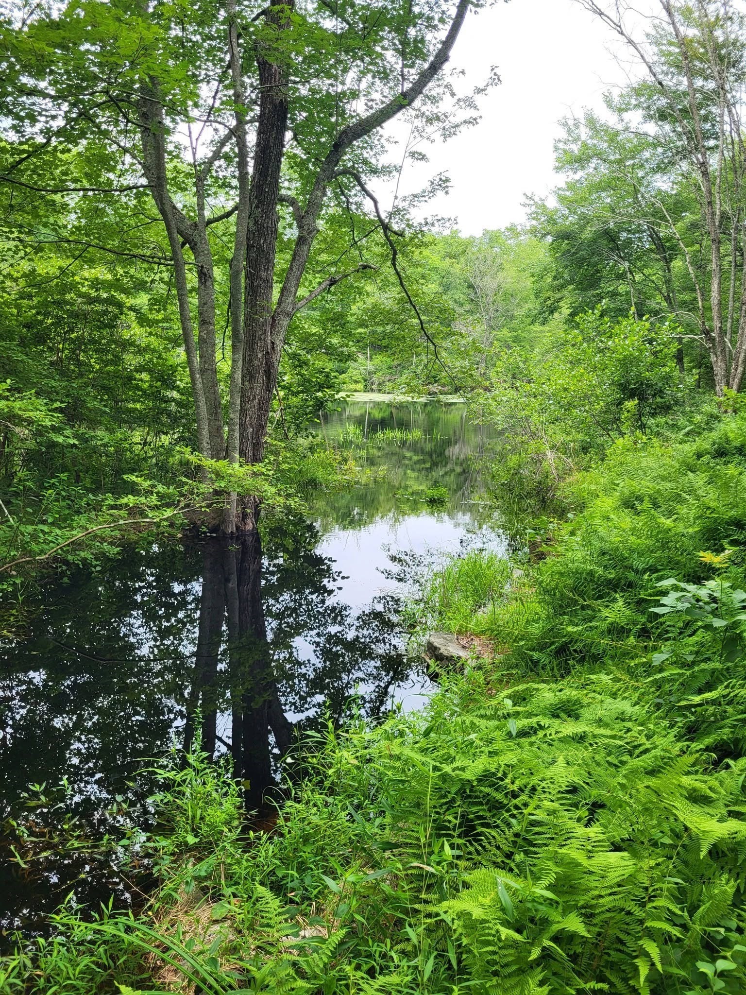 305 Tripp Hollow Rd, Brooklyn, CT 06234 - Image 24