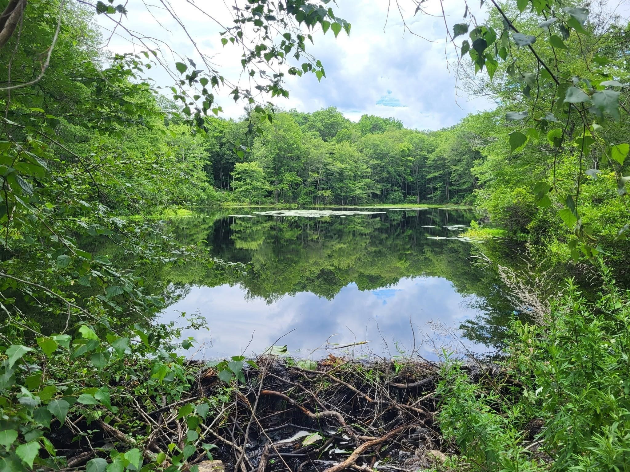 305 Tripp Hollow Rd, Brooklyn, CT 06234 - Image 26