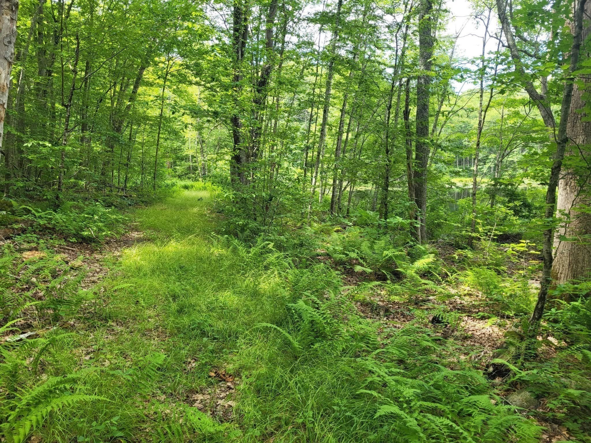 305 Tripp Hollow Rd, Brooklyn, CT 06234 - Image 6