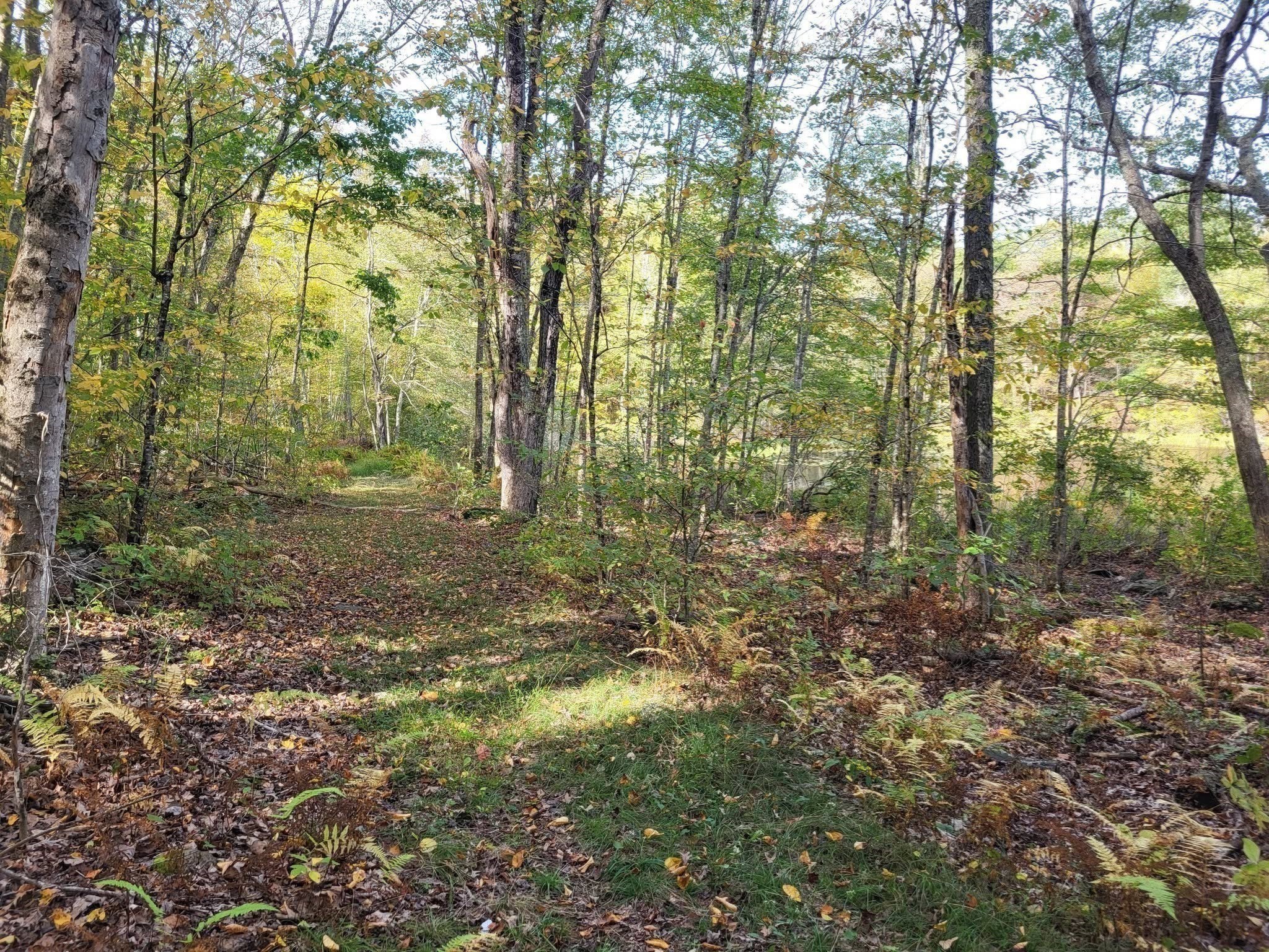 305 Tripp Hollow Rd, Brooklyn, CT 06234 - Image 7