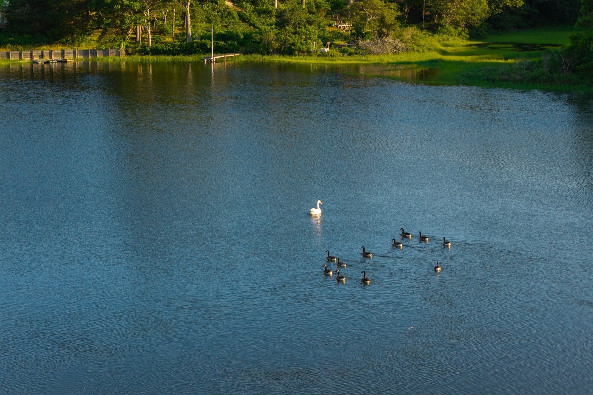 429 Highbank Rd, Yarmouth, MA 02664 - Image 14