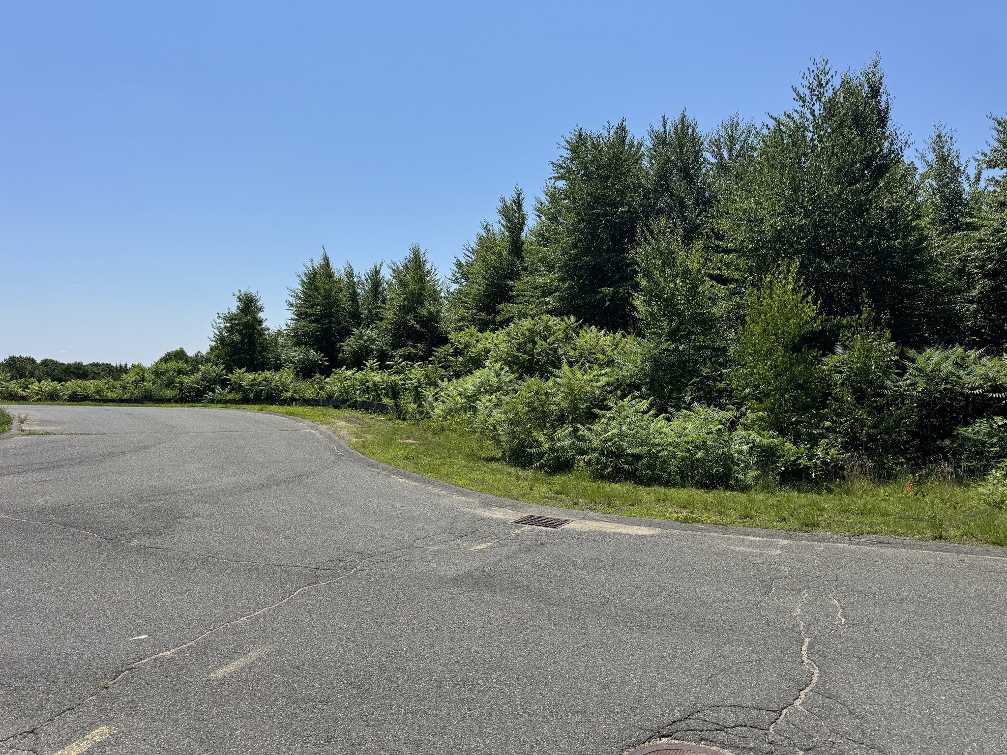 225 Spring Hill, Belchertown, MA 01007 - Image 3