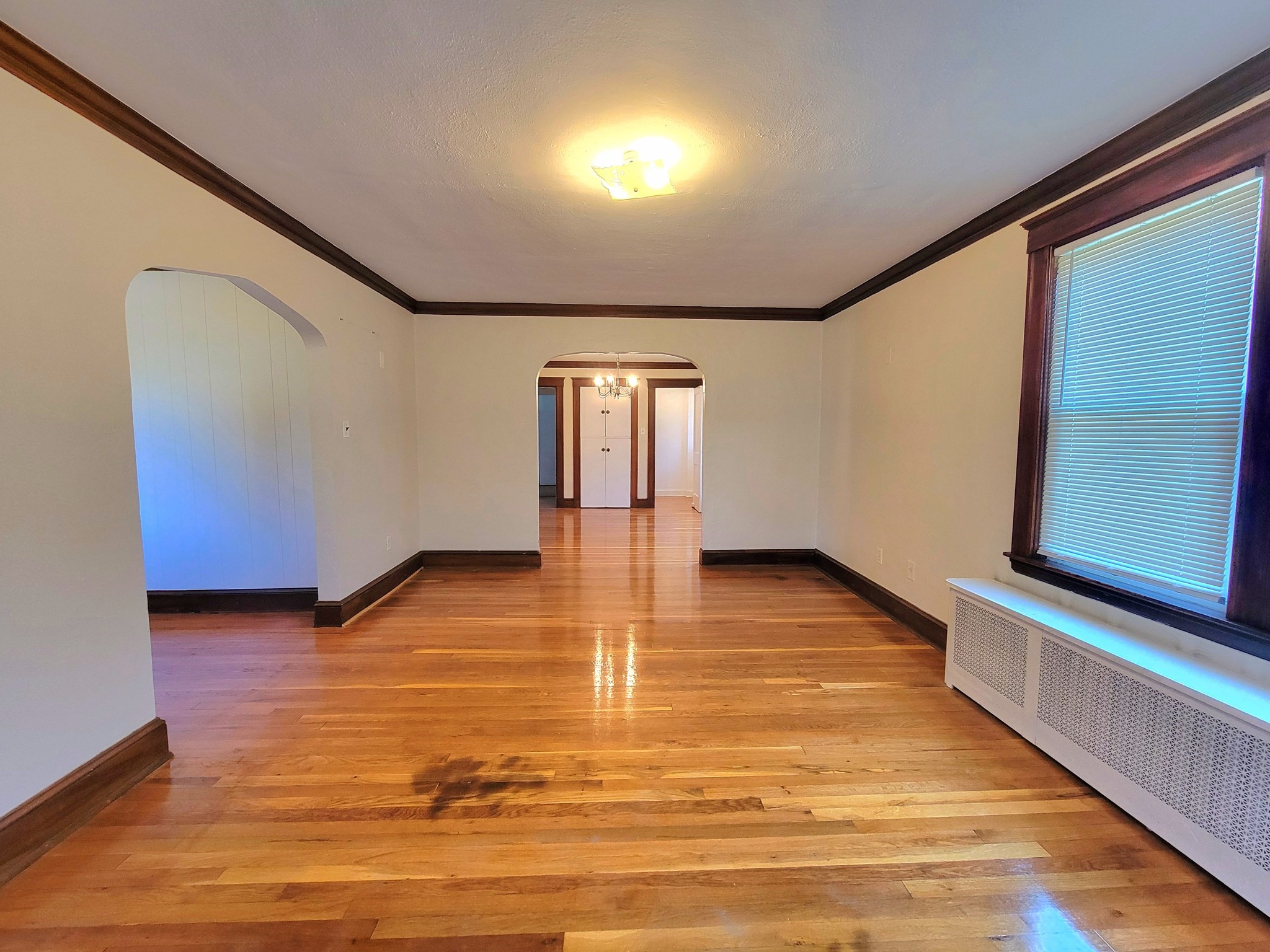 44 Colborne Rd Unit 44, Brighton, Boston, MA 02135 - Image 19