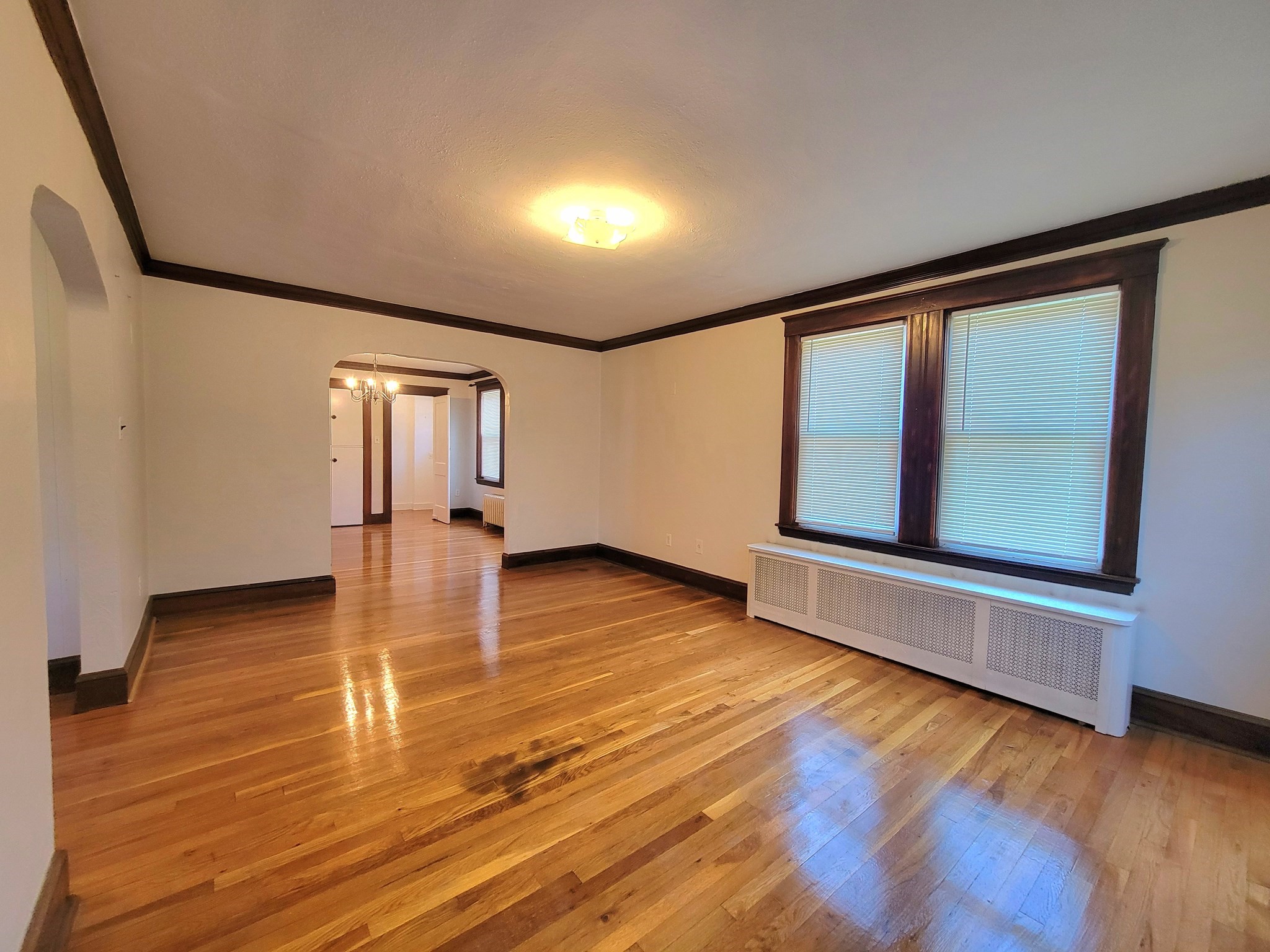 44 Colborne Rd Unit 44, Brighton, Boston, MA 02135 - Image 20