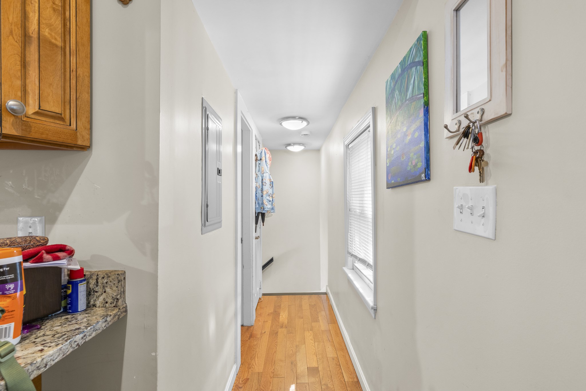 20 Walter St, Hyde Park, Boston, MA 02136 - Image 18