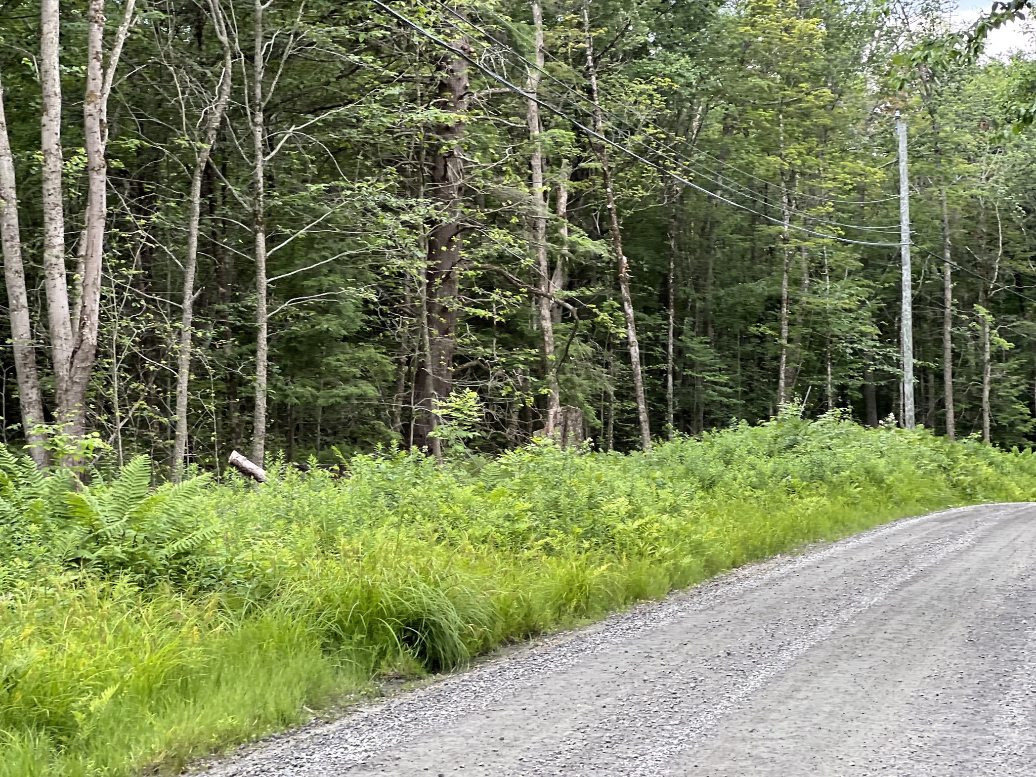 19 Becket Rd, Middlefield, MA 01243 - Image 1