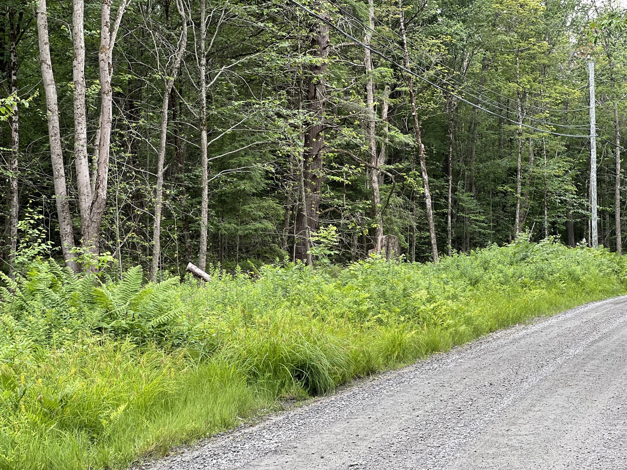 19 Becket Rd, Middlefield, MA 01243 - Image 2