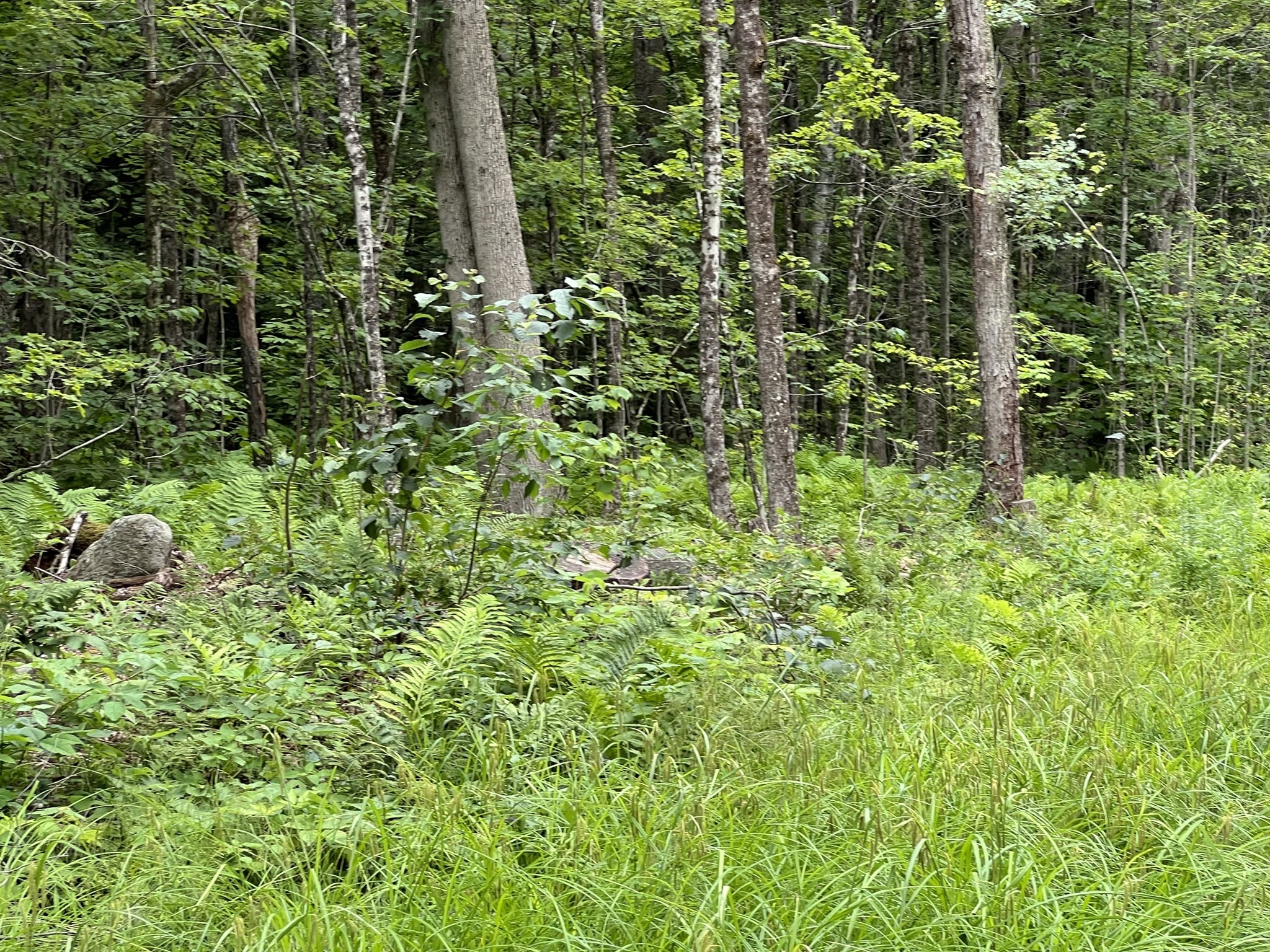 19 Becket Rd, Middlefield, MA 01243 - Image 4
