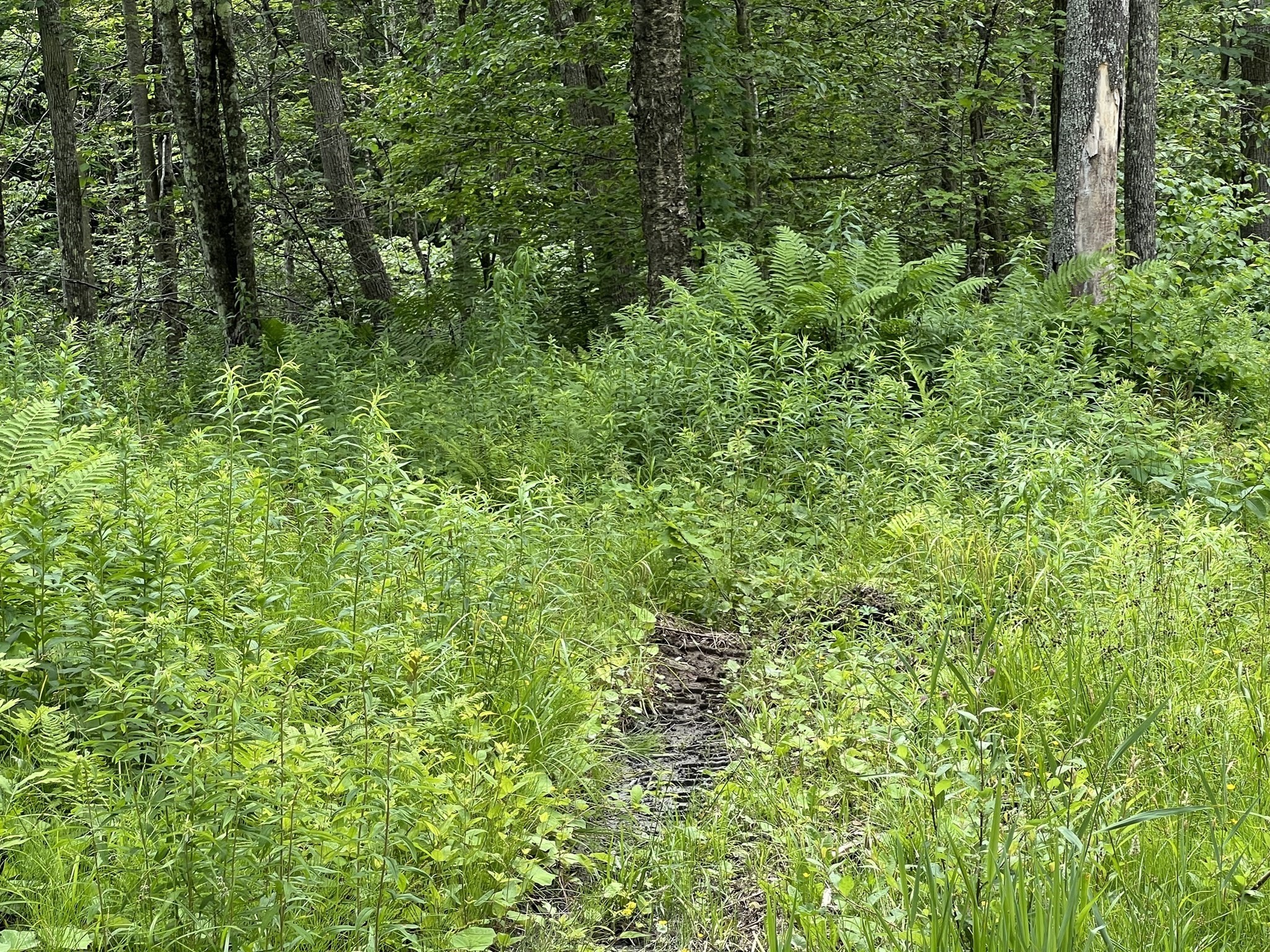 21 Becket Rd, Middlefield, MA 01243 - Image 1